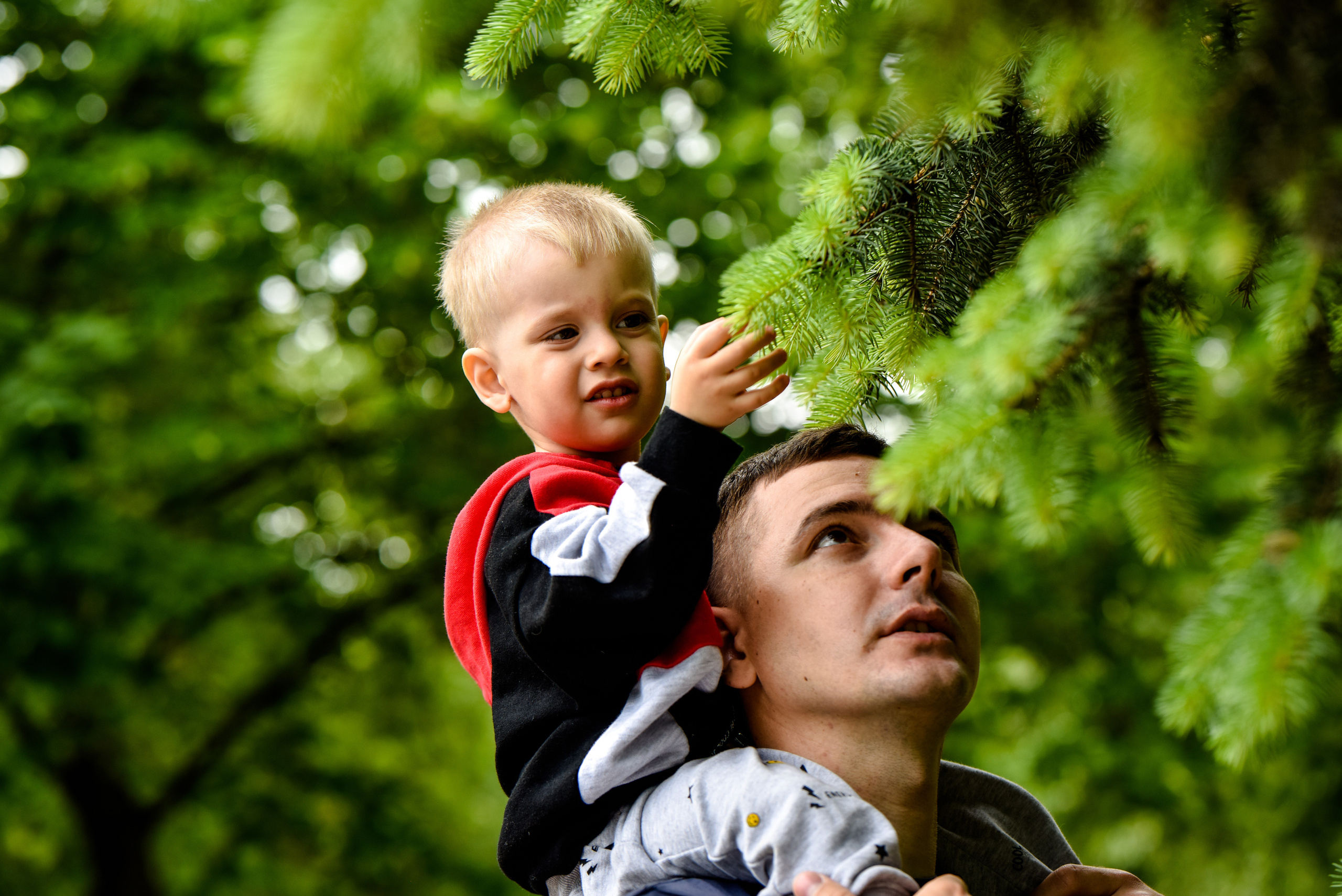 Семья Настеньки
