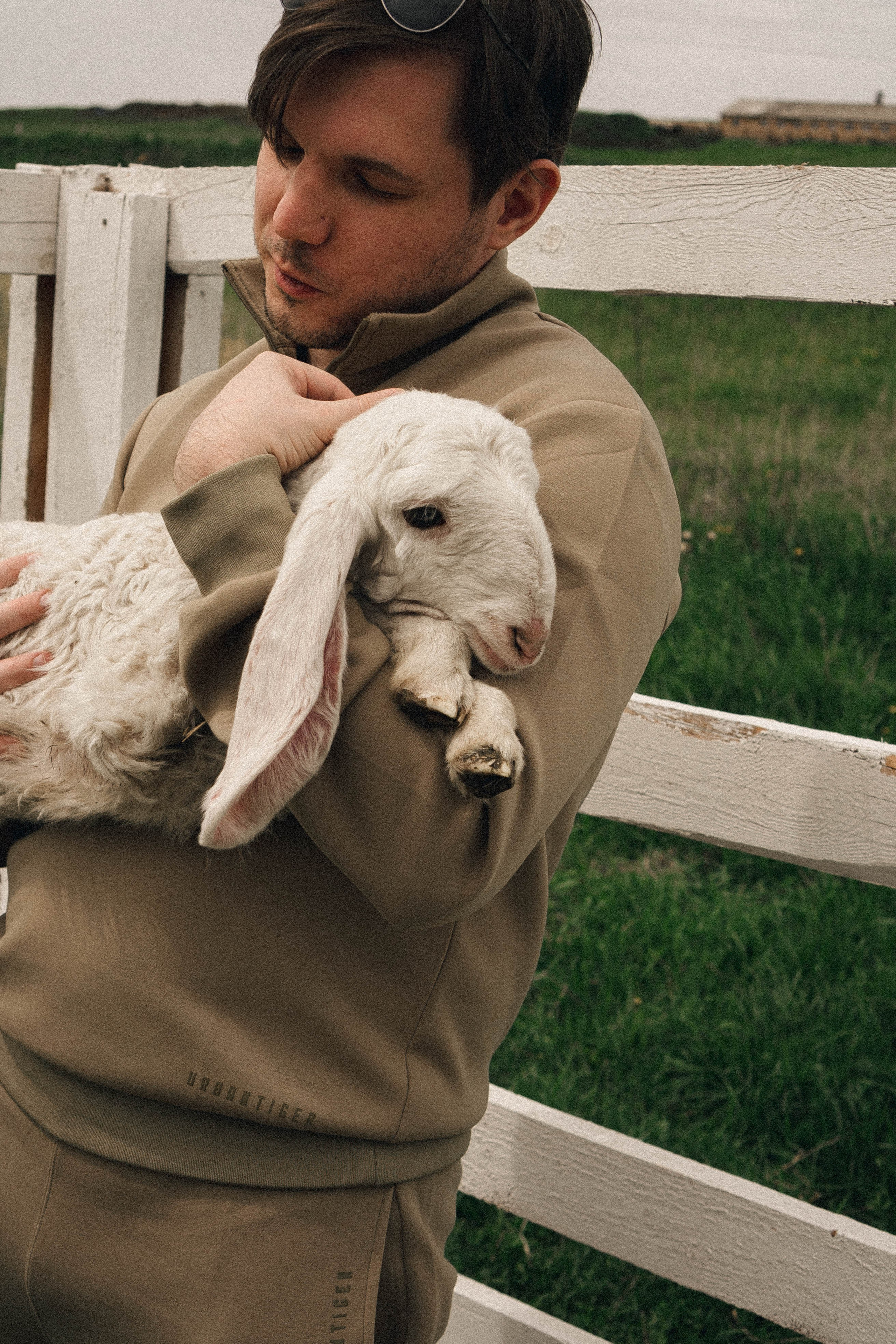 Ферма Альпак. Профессиональный фотограф, Санкт-Петербург — Виктория Богомолова