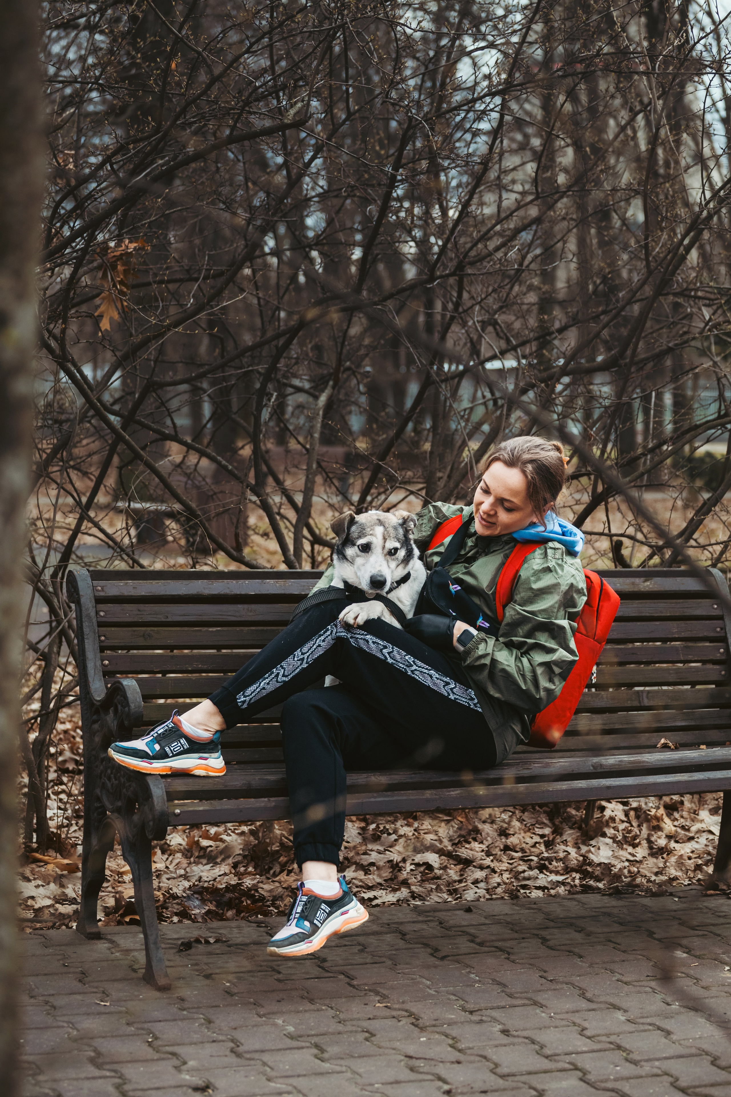 Собаки из приюта Дубовая роща весна 2025. Фотограф-анималист Татьяна Степанова