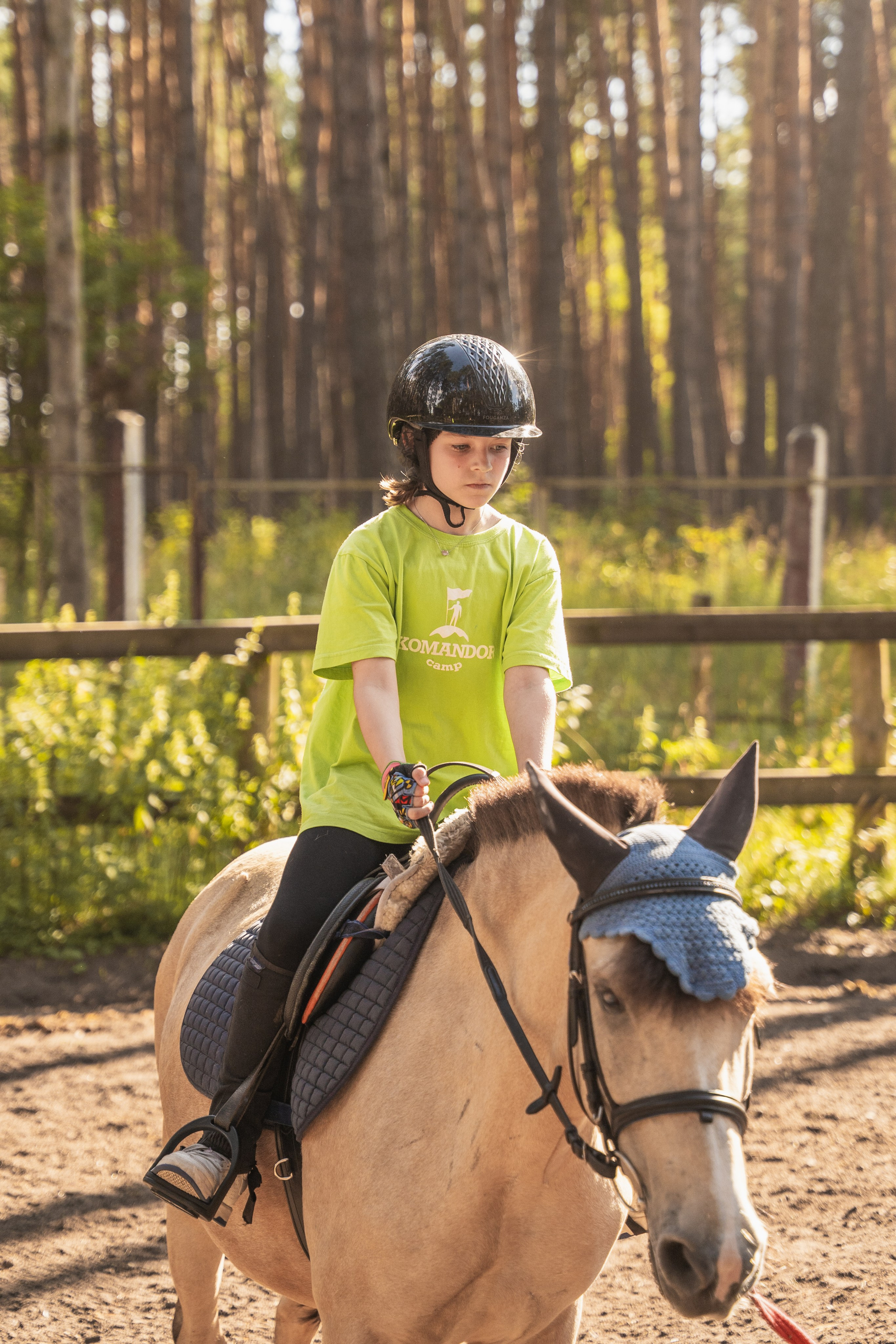 Конное занятие. Главная