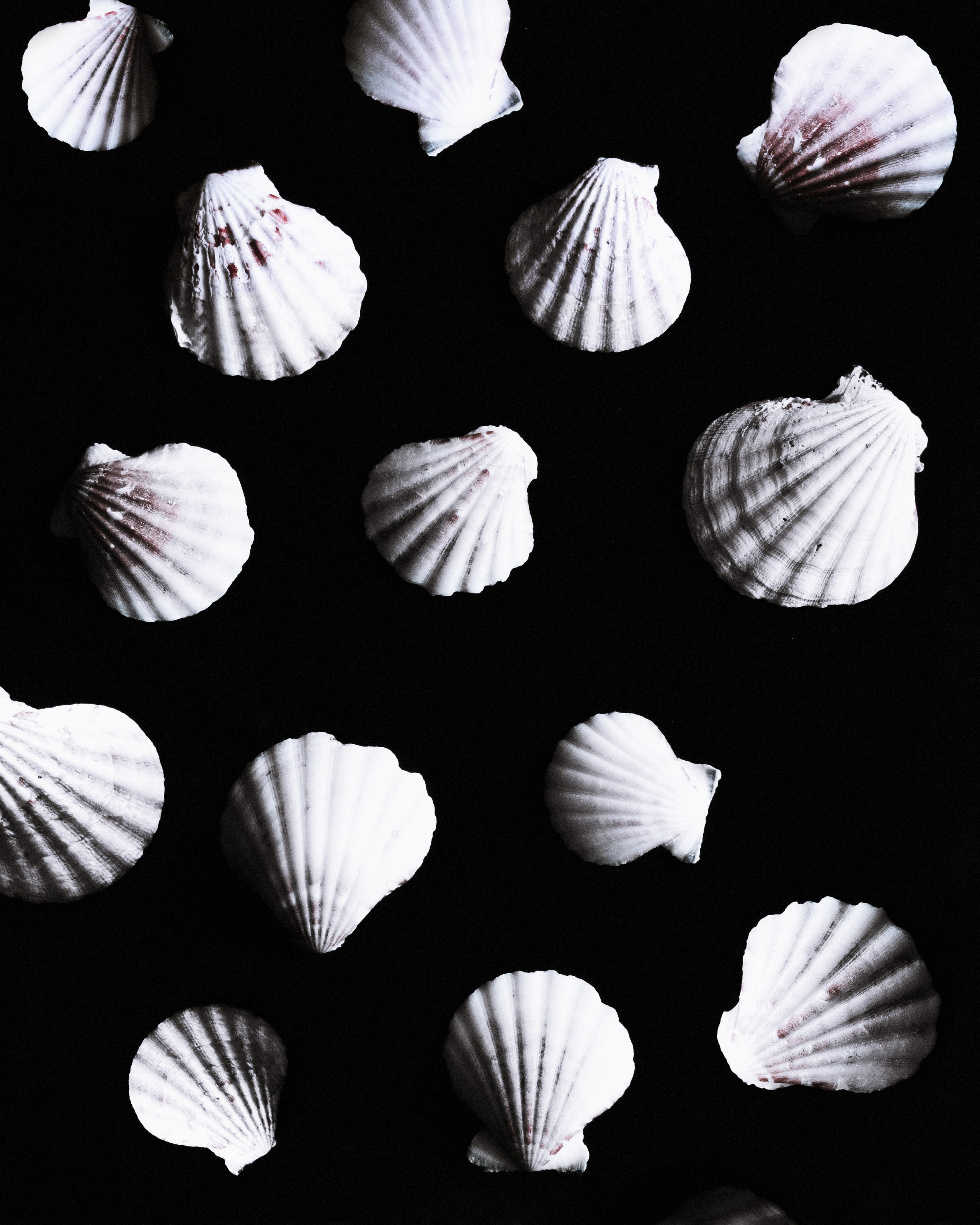 Имиджевая съёмка для бренда, лукбук. Кристина Охотникова — фотограф, фотосессия в Санкт-Петербурге