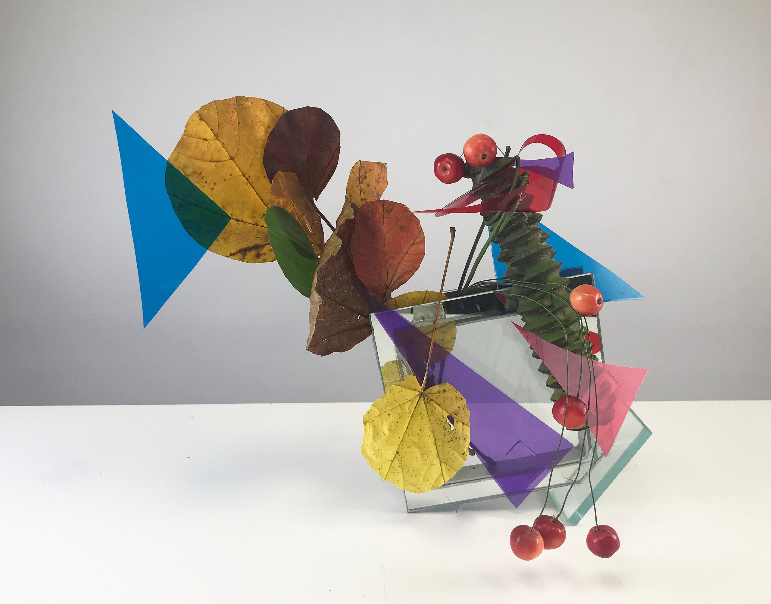 Икэбана Барне. Фотограф Анна Барне