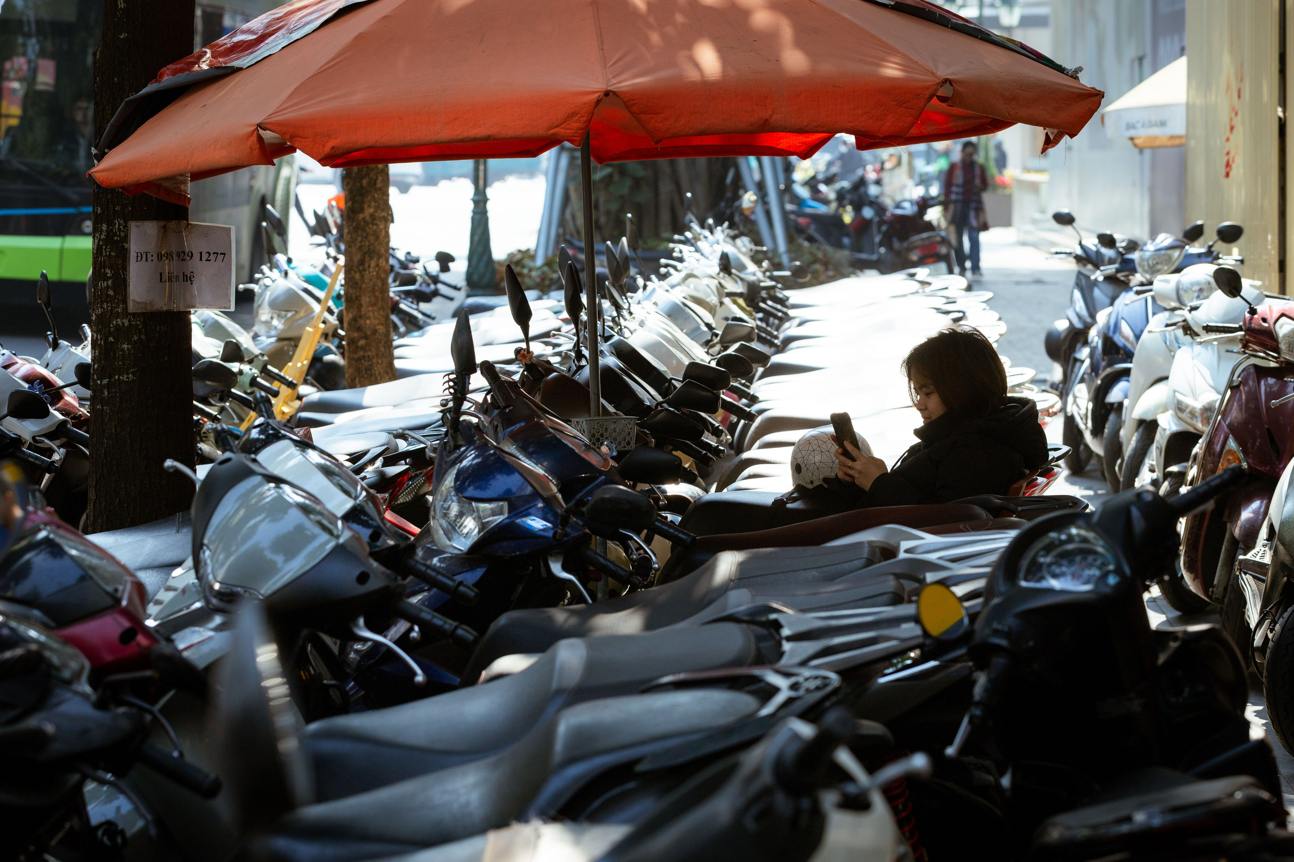 Вьетнам (зима 2025-2026). Фотограф Виноградов Константин