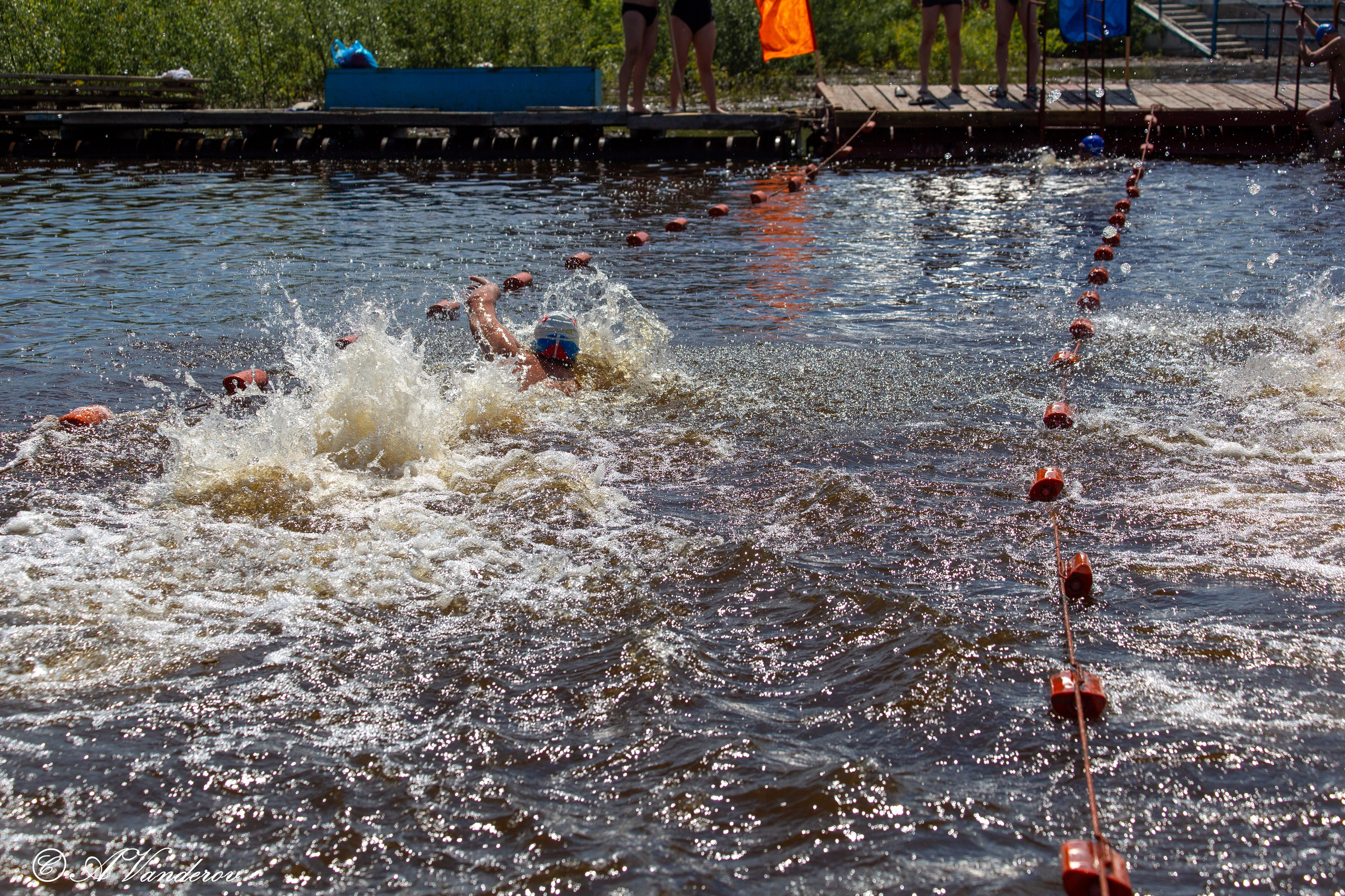 Заплыв 02.06.2024. Фотограф Омск | Александр Вандеров