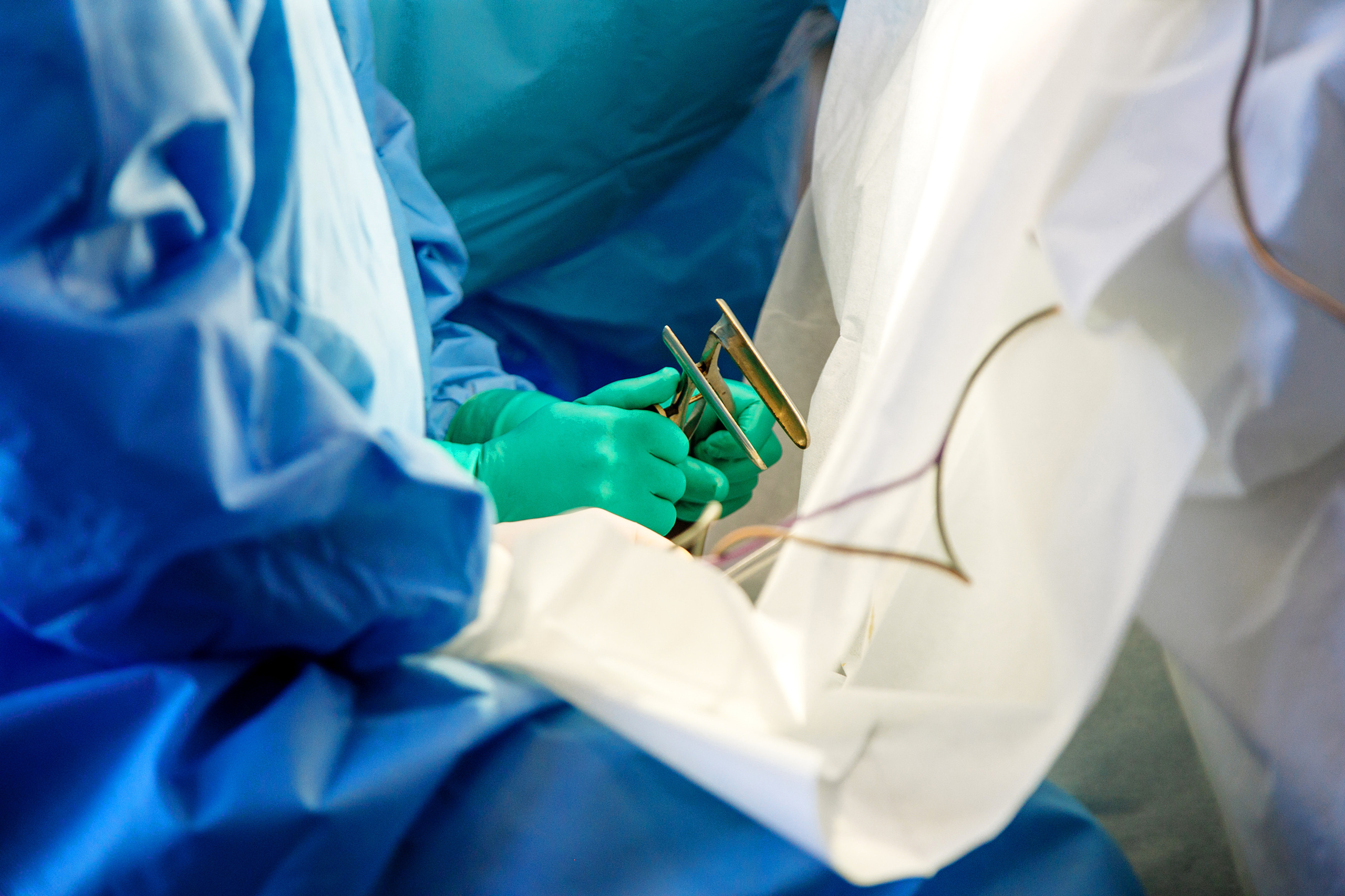 СТОИМОСТЬ. Фотограф в Краснодаре Дина Павленко