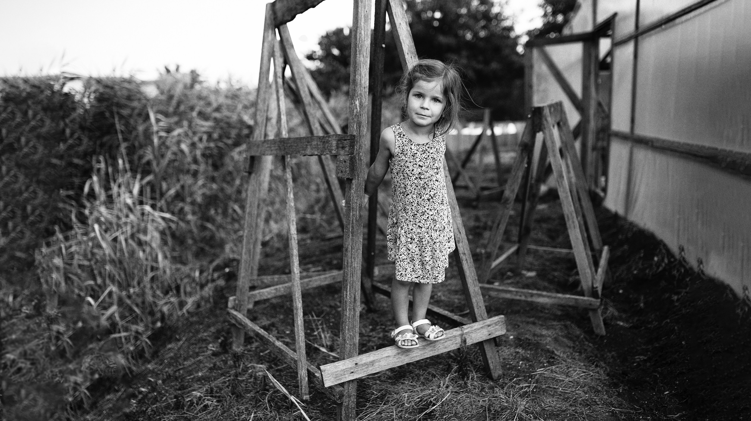 Фото и видеосъемка любых мероприятий в городе Краснодаре и Краснодарском крае. Щеколдин Антон