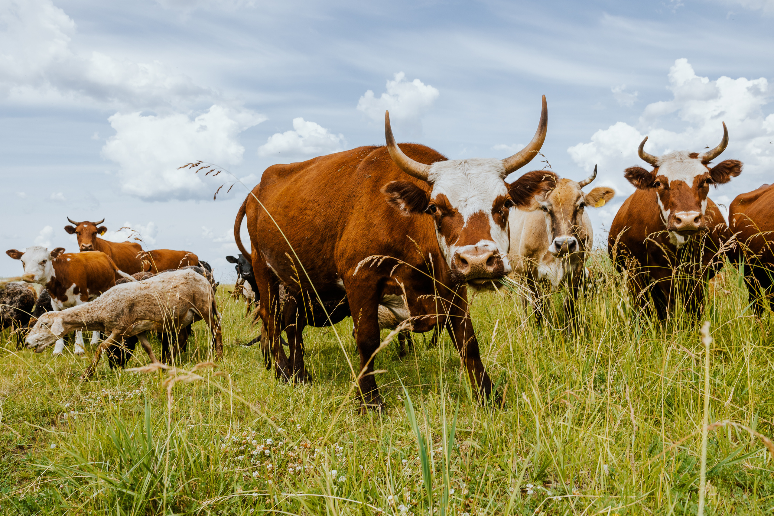 Репортажная съемка — портфолио фотографа на Бали. Профессиональный фотограф Нурмиева Вероника