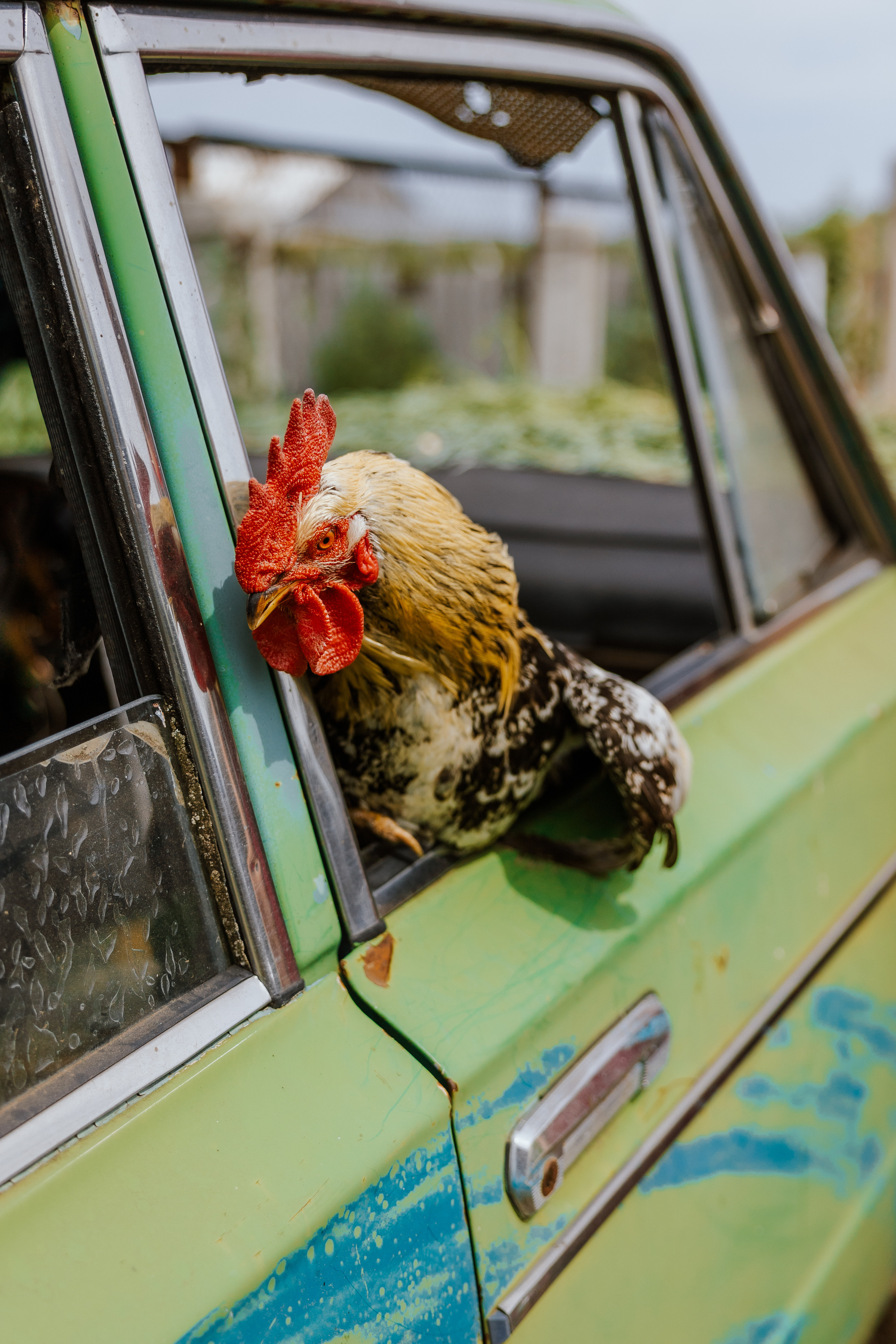 Репортажная съемка — портфолио фотографа на Бали. Профессиональный фотограф Нурмиева Вероника