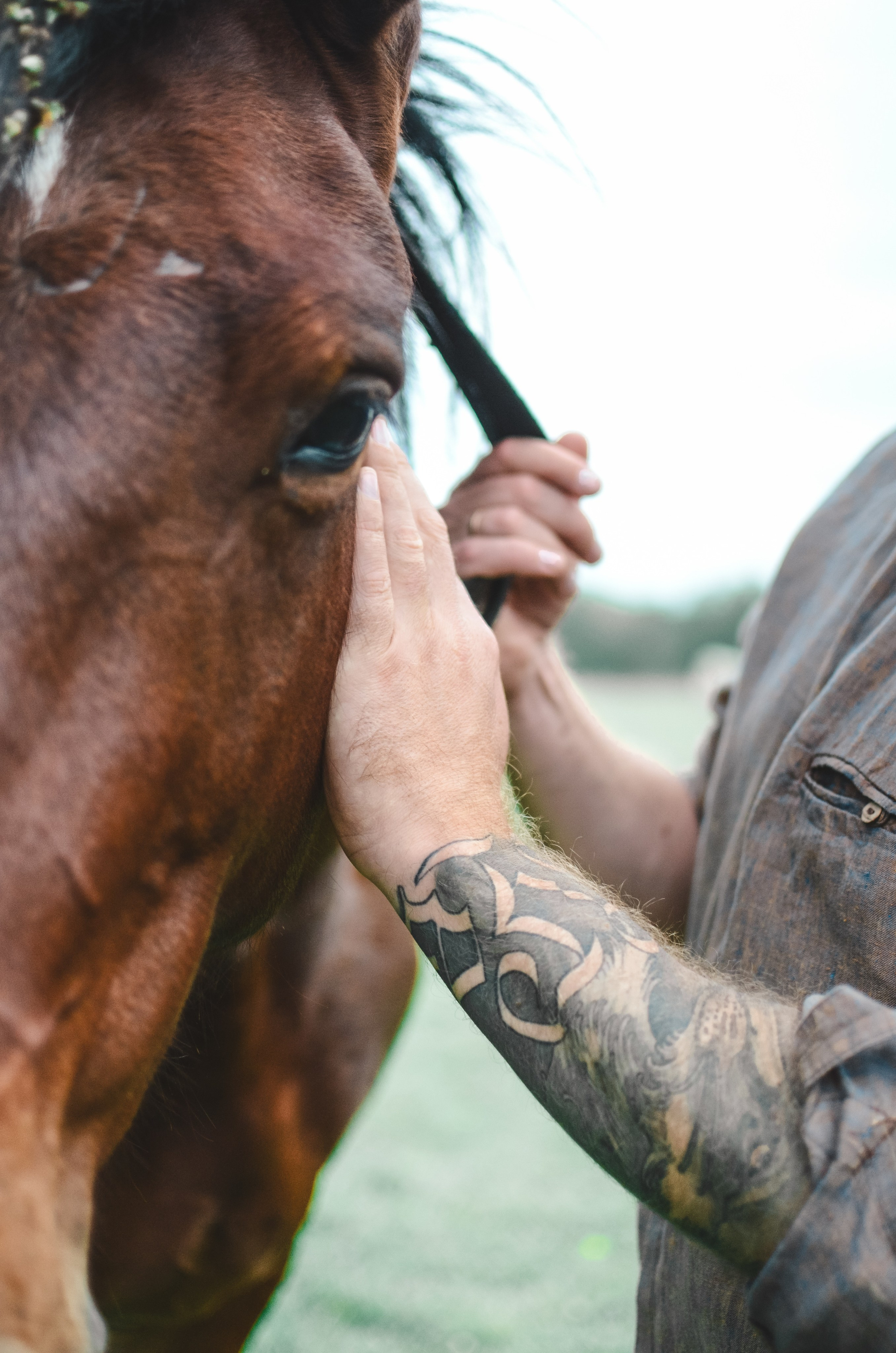 Love story. Семейный фотограф г. Москва