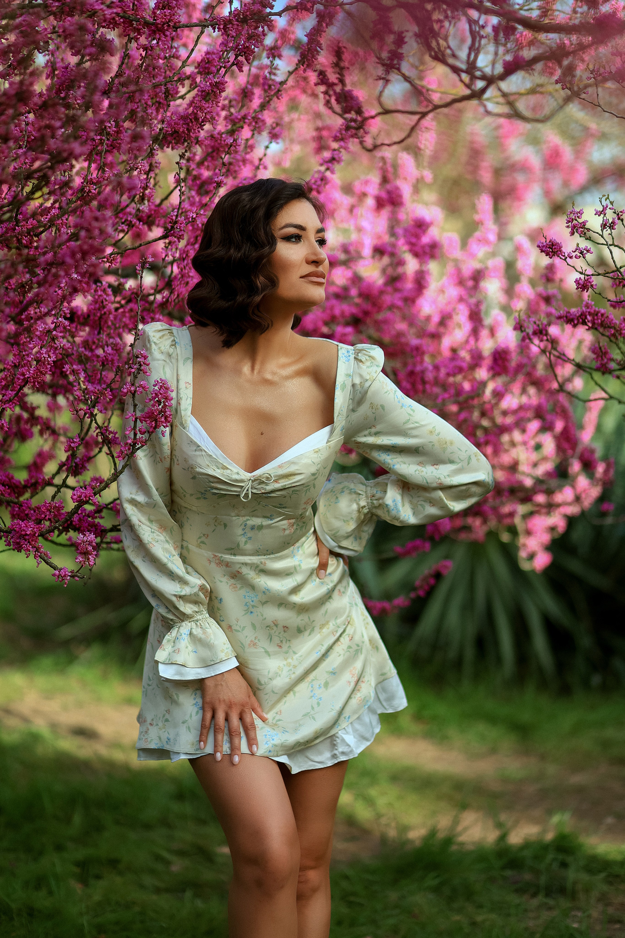 Цветение. Магнолия. Сакура. Фотограф в городе Сочи