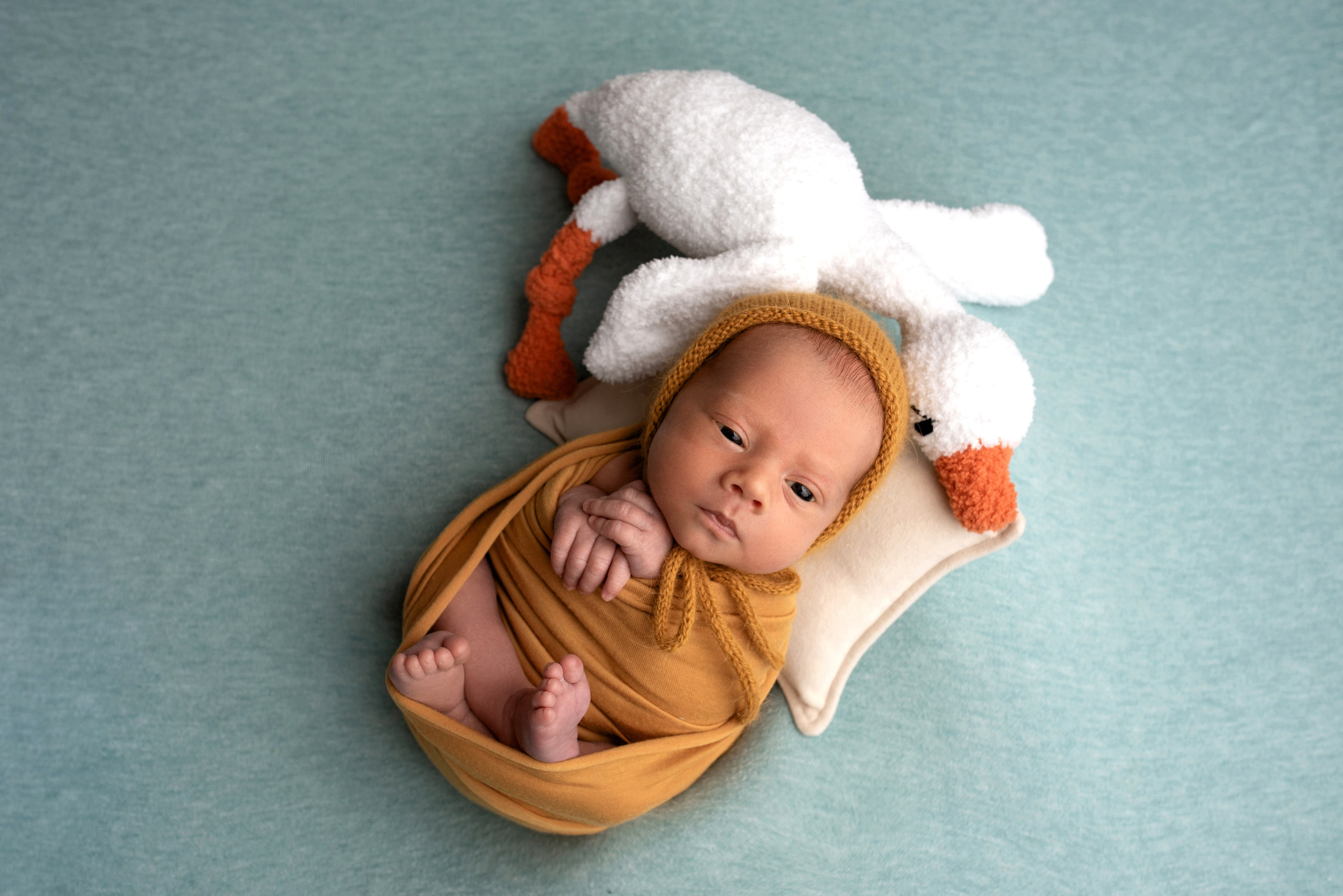 Новорождённые мальчики. Детский фотограф новорождённых в Минске Боровик Екатерина