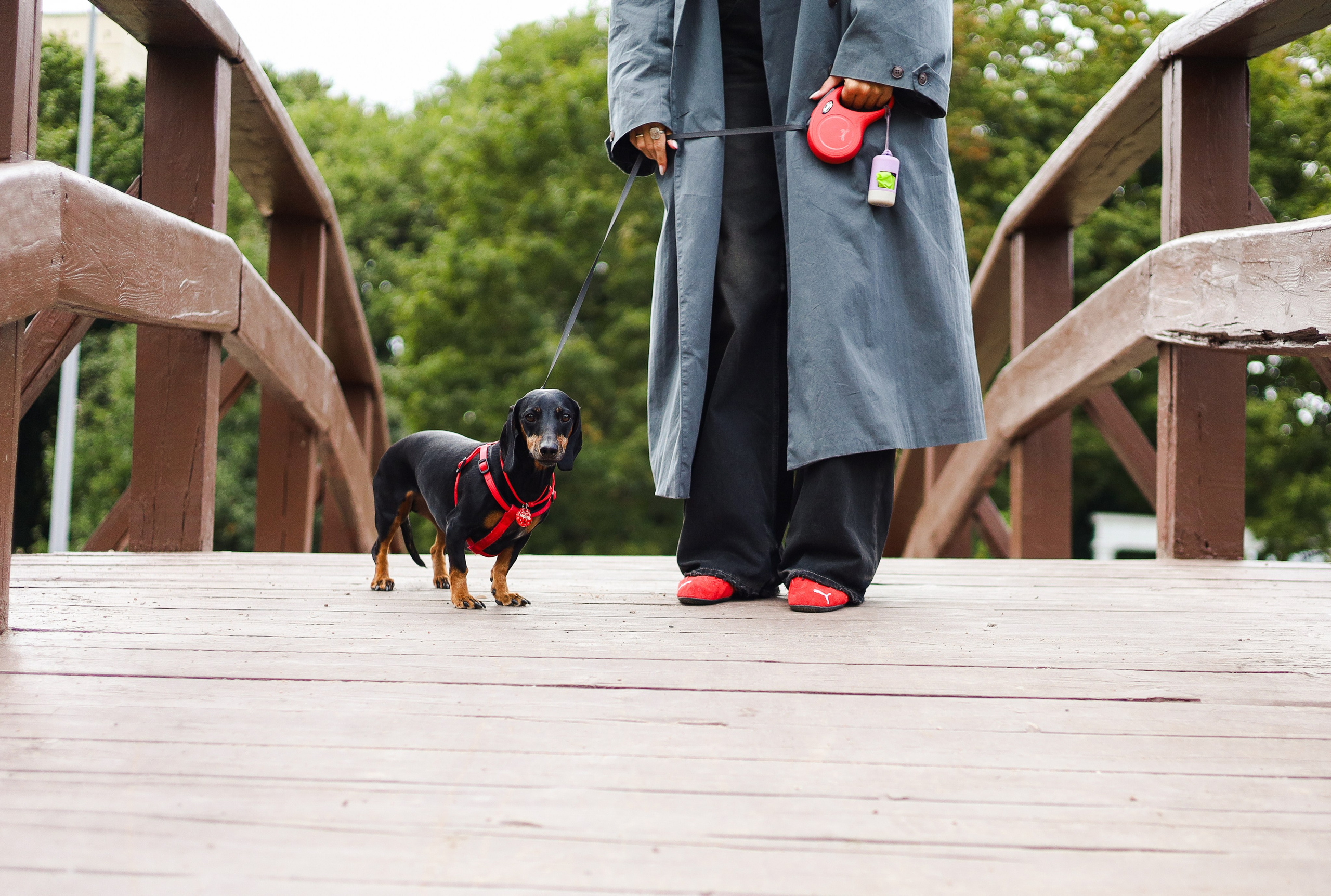 Моня и Оля. Фотограф-анималист Ксения Шевцова|Москва