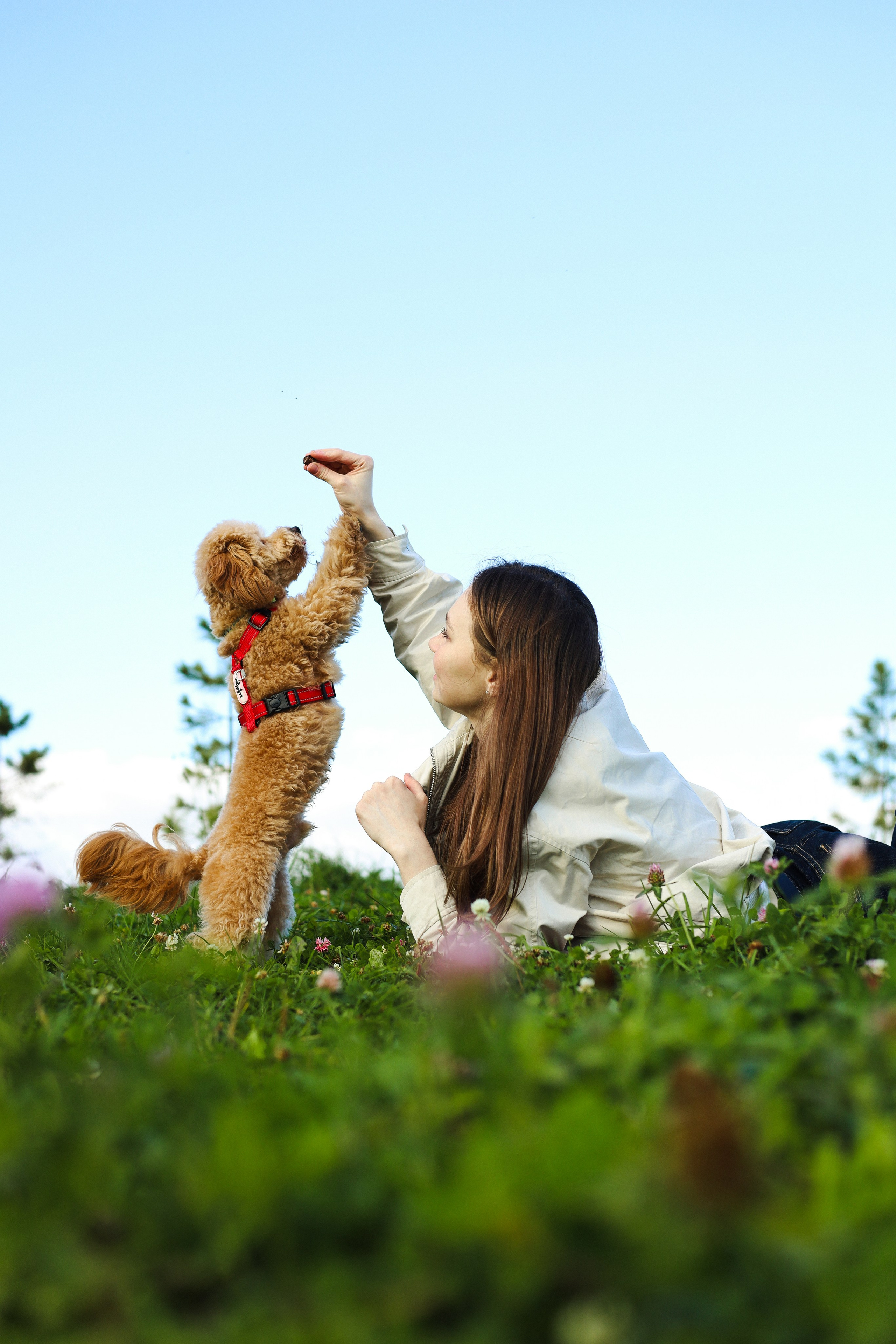 Поршик и Ксения. Фотограф-анималист Ксения Шевцова|Москва