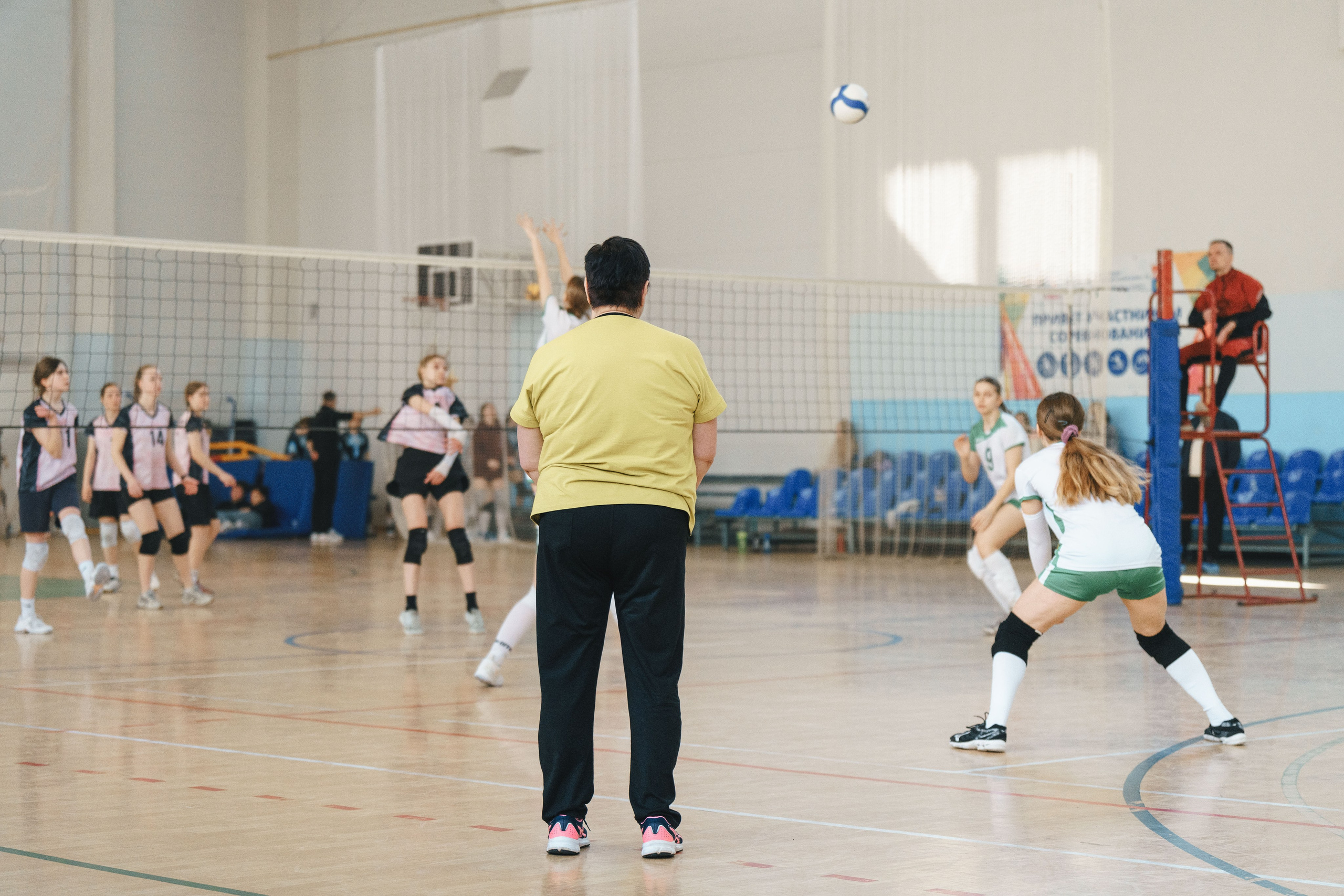 Волейбол торус. Фотограф-анималист в Санкт-Петербурге