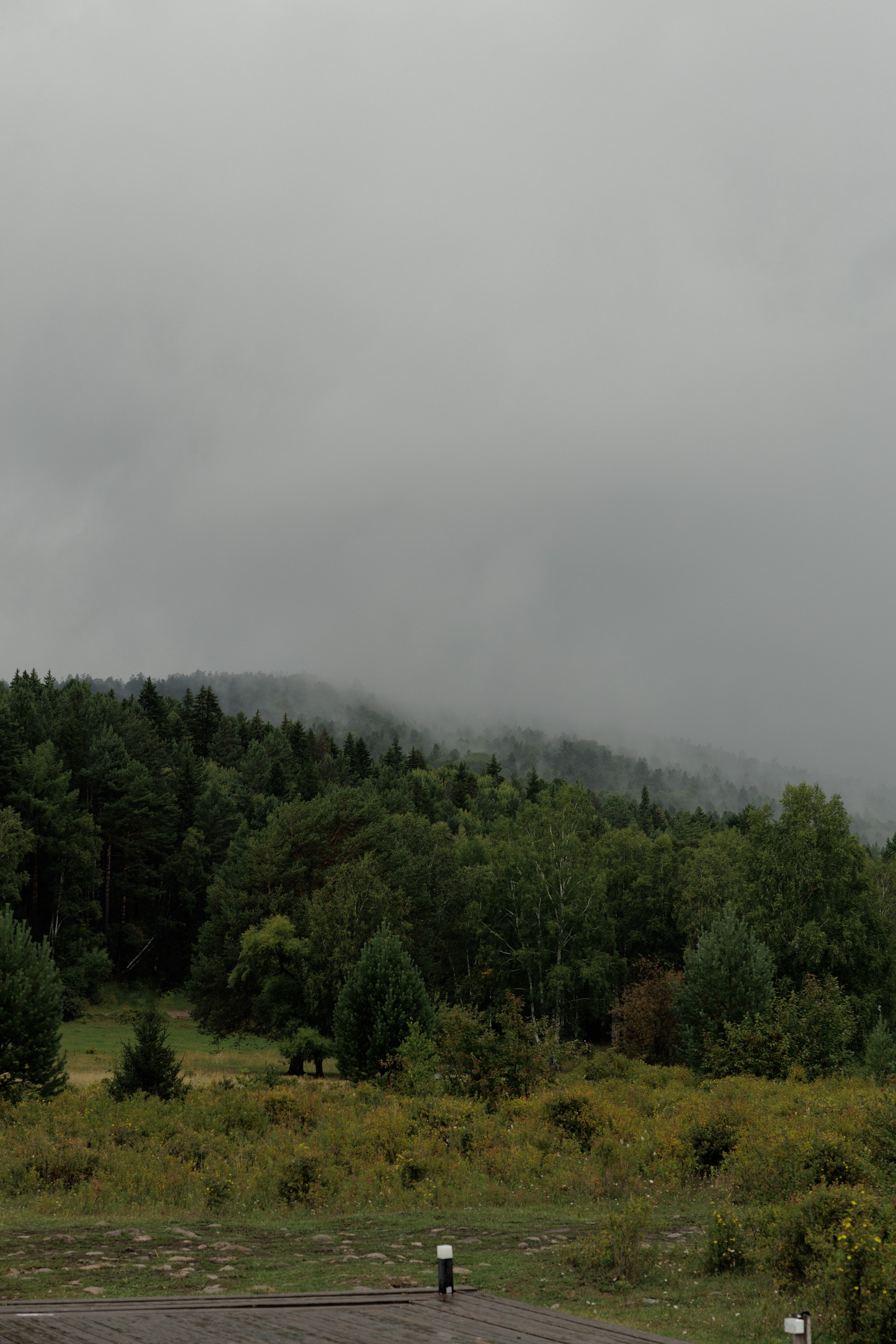 Свадьбы. Свадебный фотограф