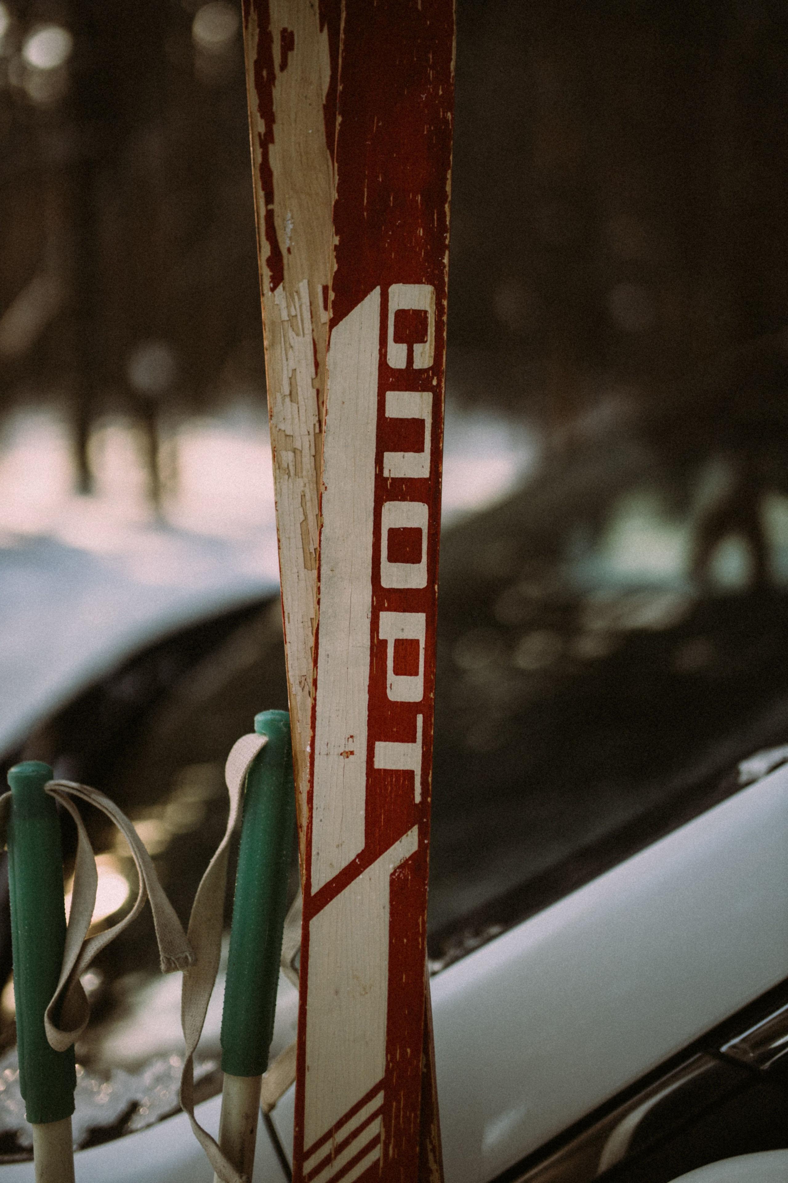 Оля Лыжи. Семейный фотограф Губкин/Старый Оскол