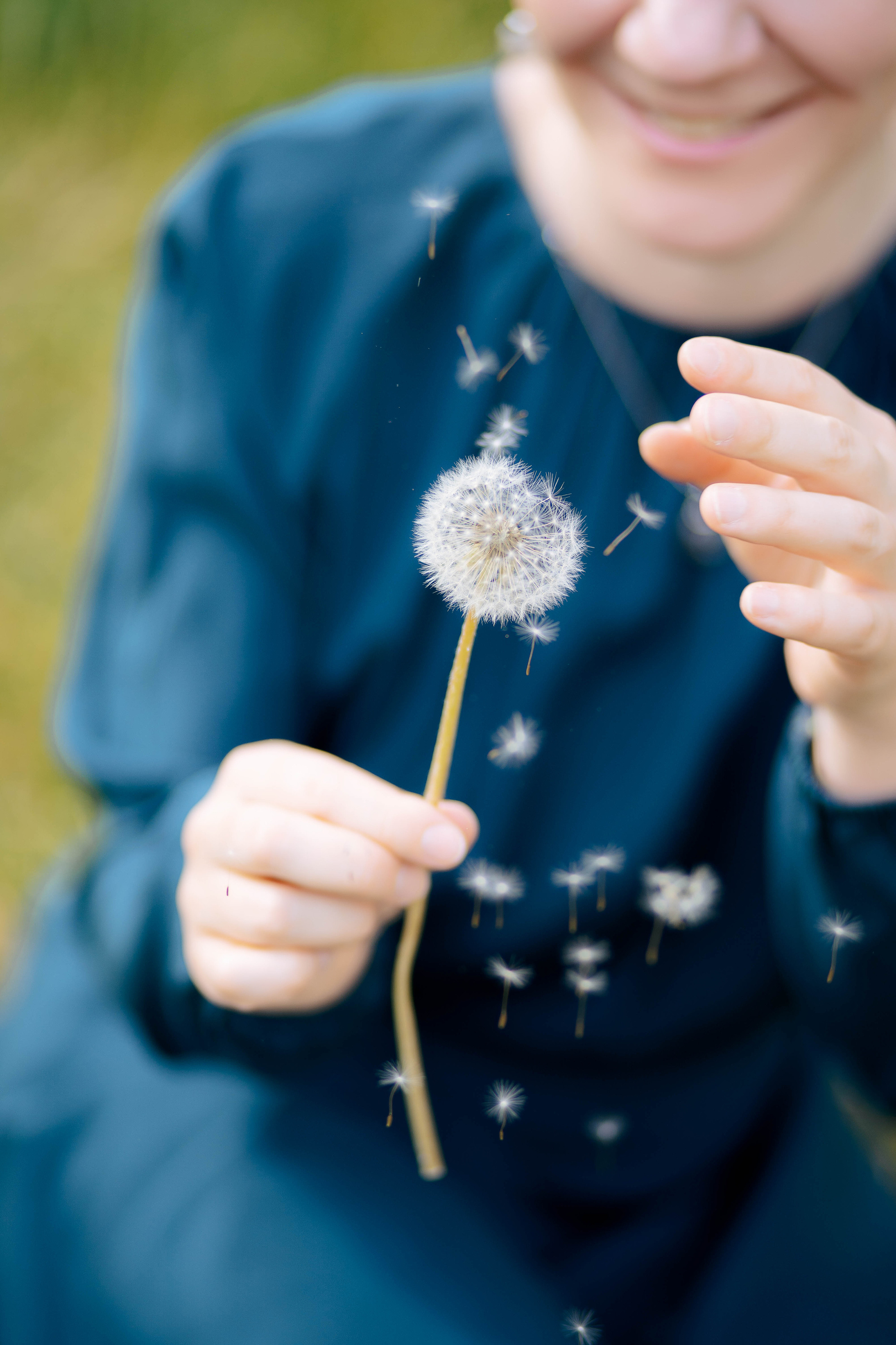 Одуванчики. Фотограф Казакова Анастасия