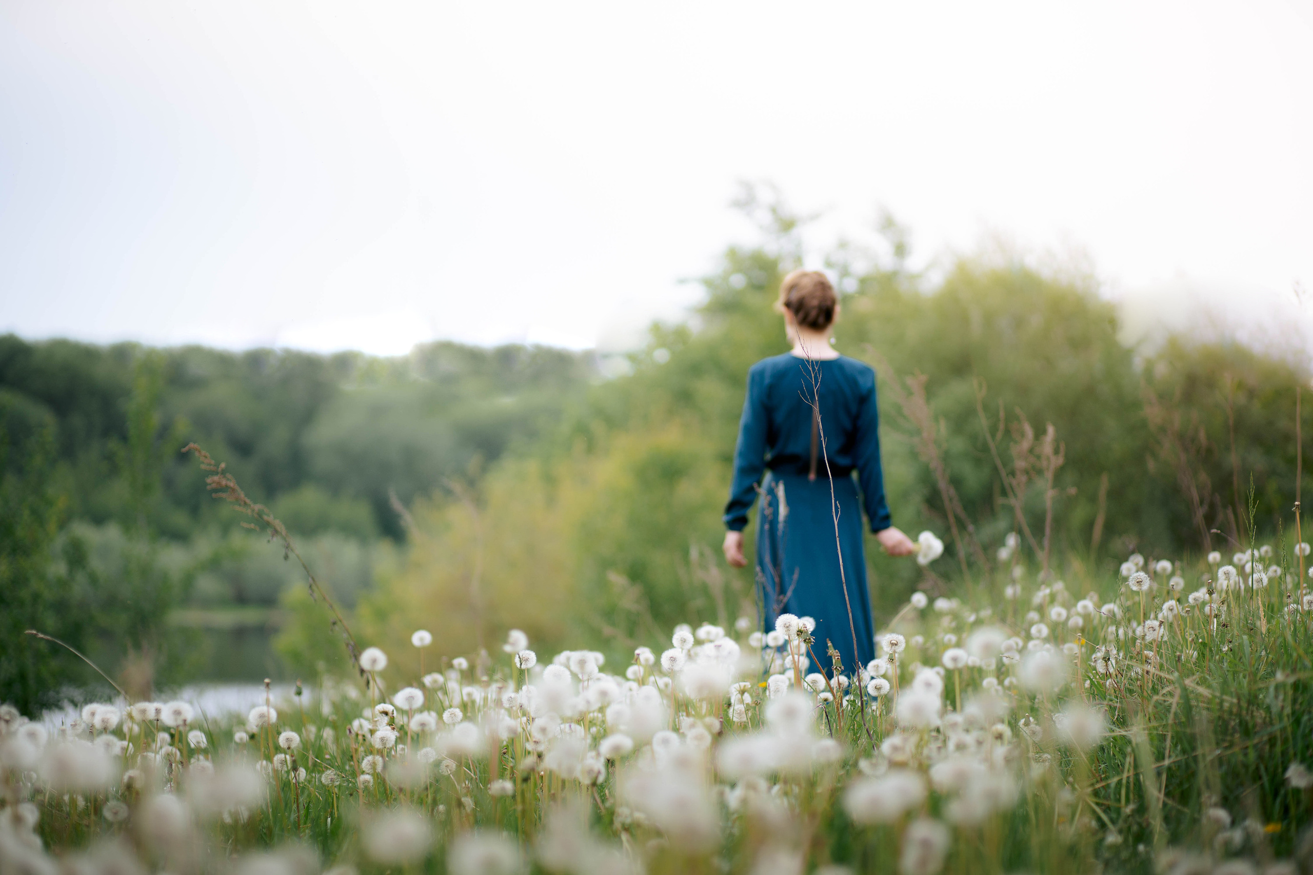 Одуванчики. Фотограф Казакова Анастасия