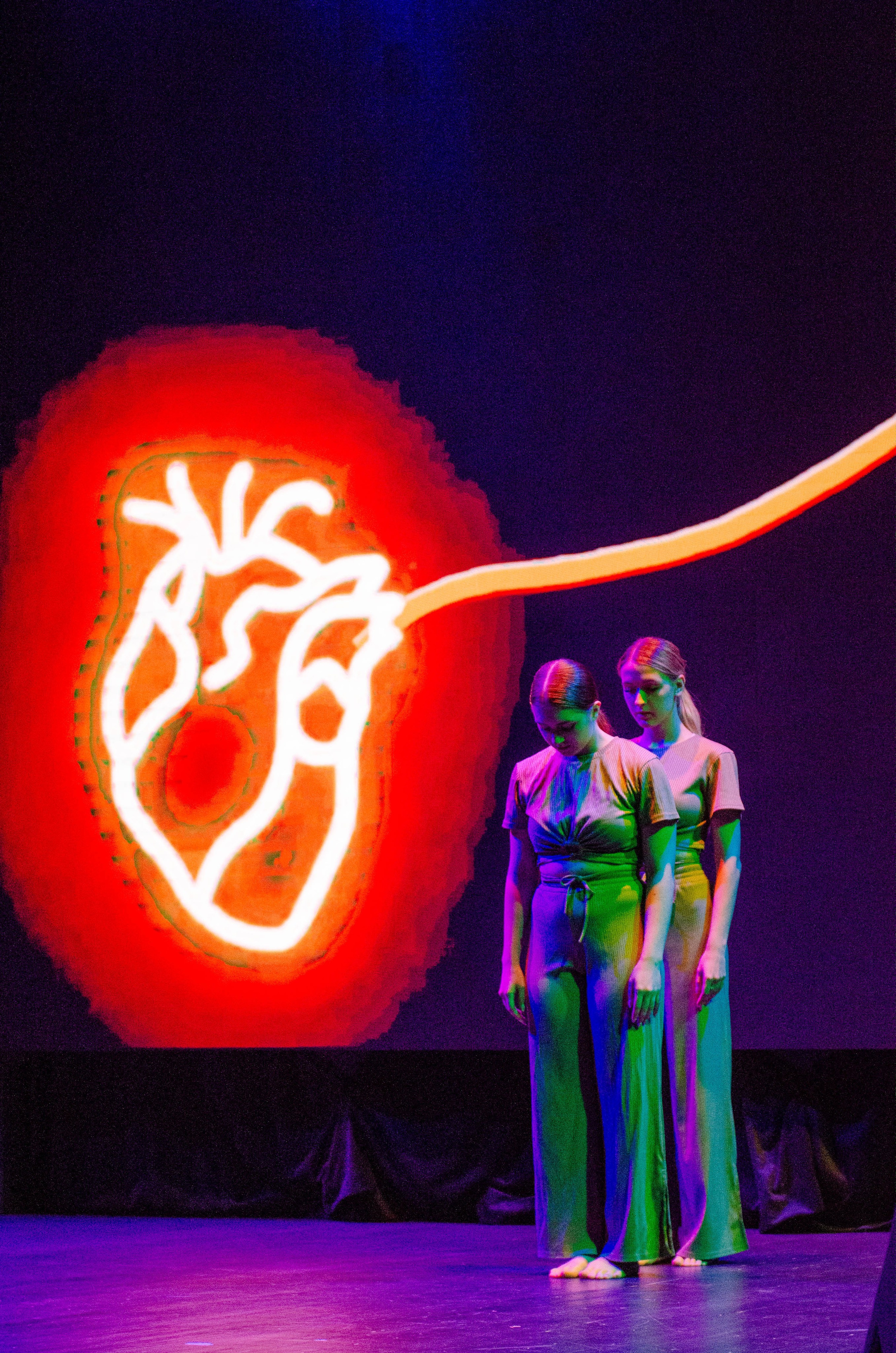 Импульс. Фотограф Валерия Пэун