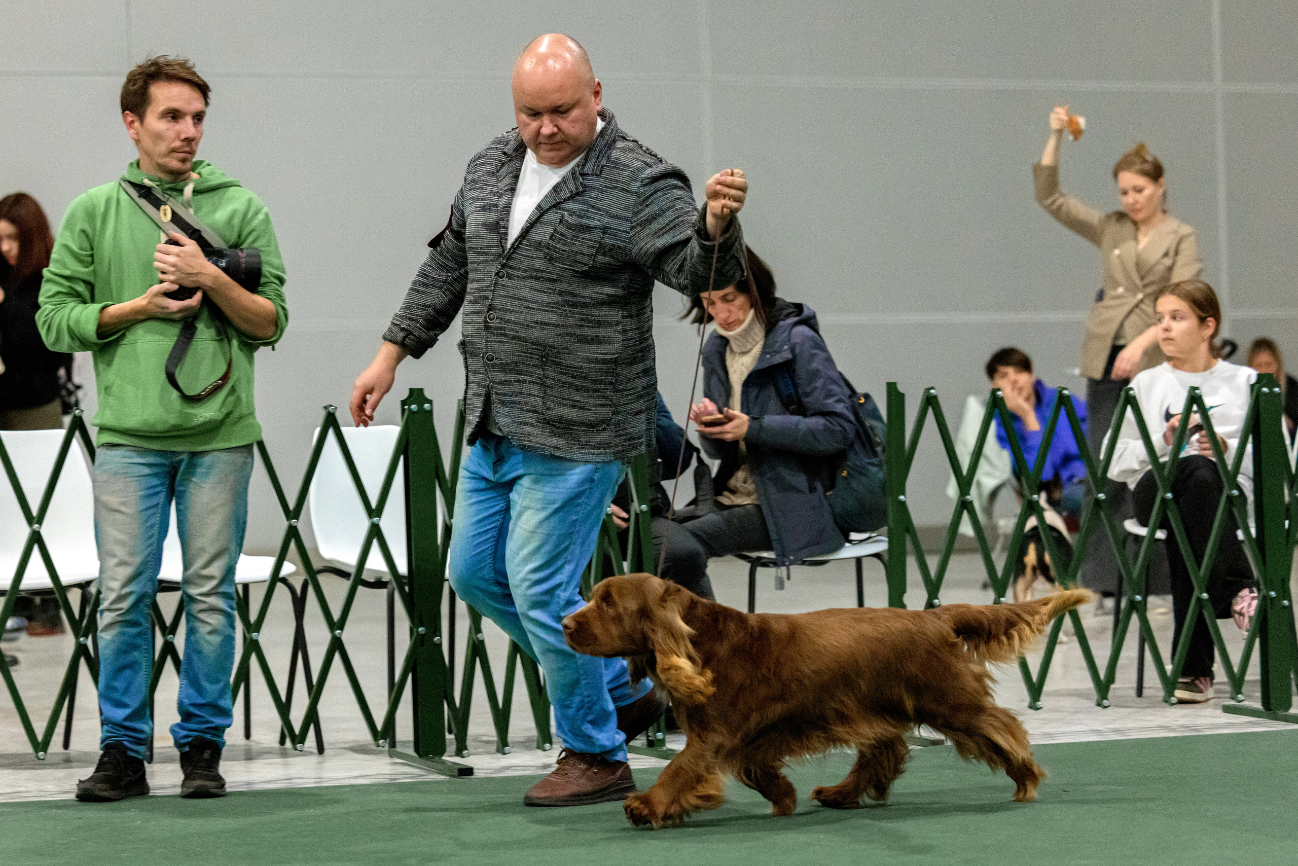 Сфера 29.10,Крокус 4.11,Сфера 12.11.2023. Фотограф-анималист Юлия Германика