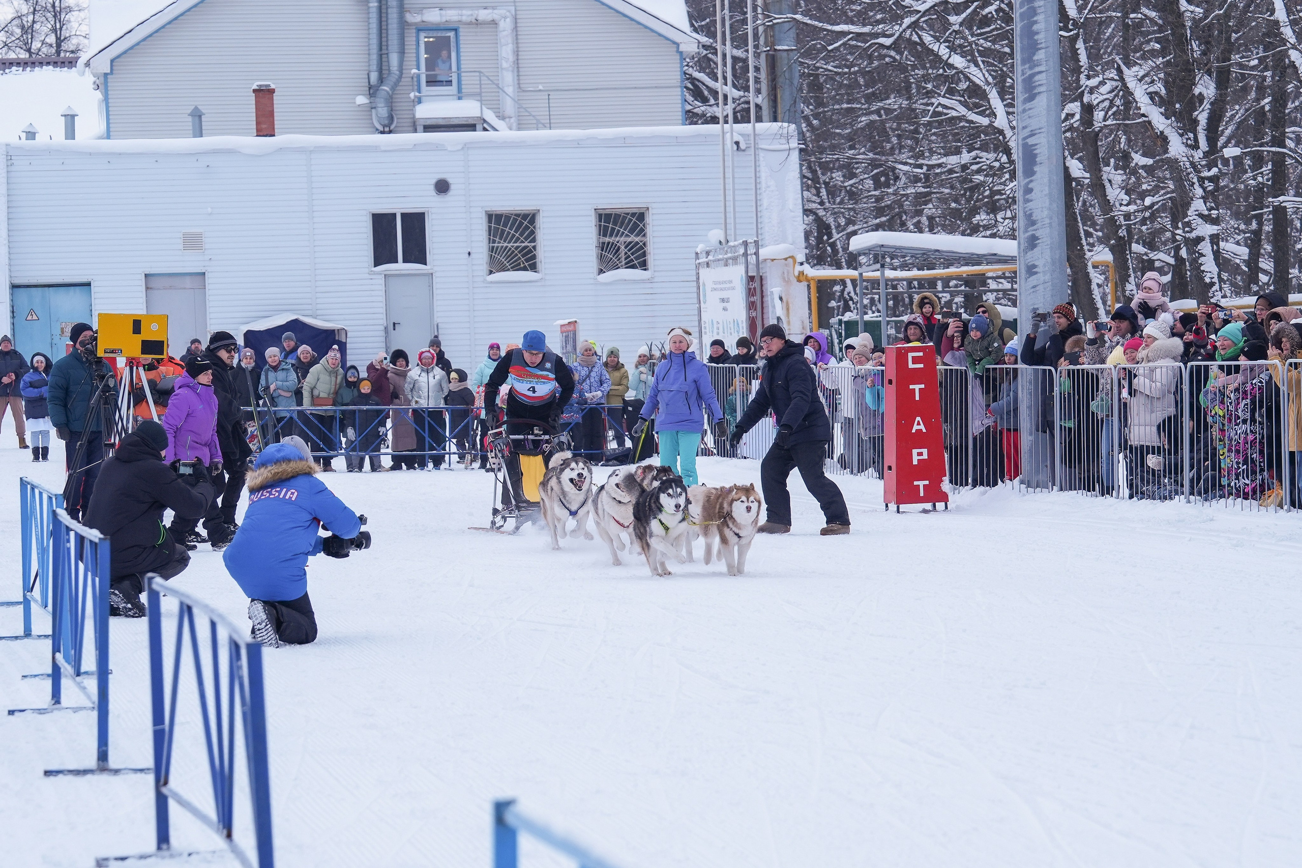 Рождественские гонки на собаках. Т/б «Чайка». Семейный фотограф Владимир Просвиркин. г. Самара