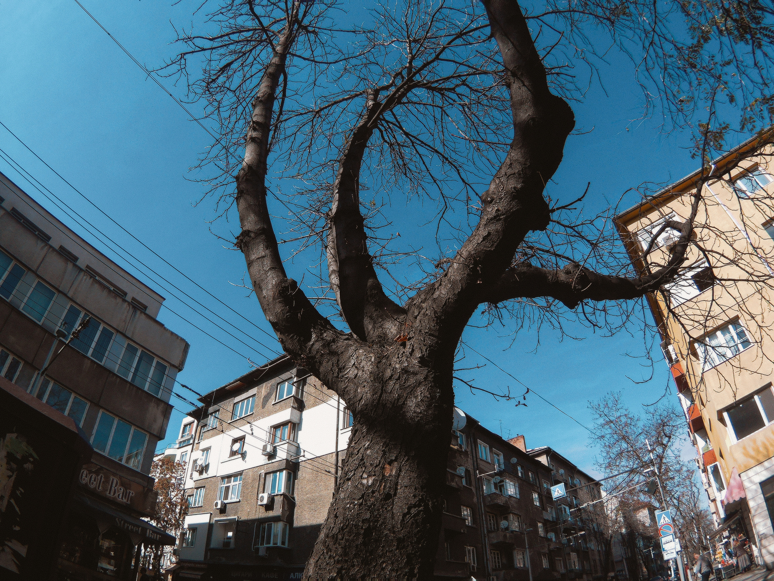 The Balkans. Künstler Verstecktoff