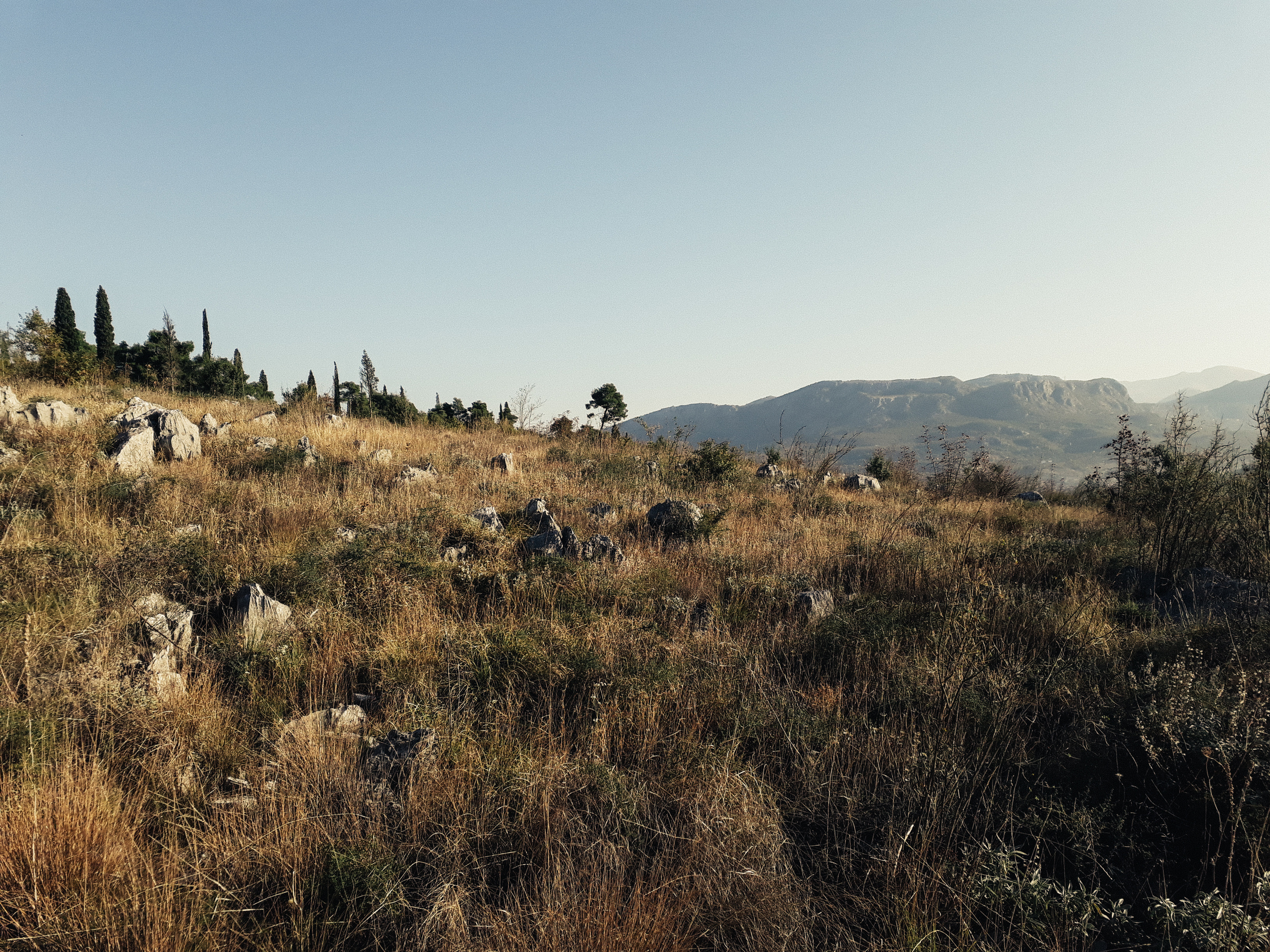 The Balkans. Künstler Verstecktoff