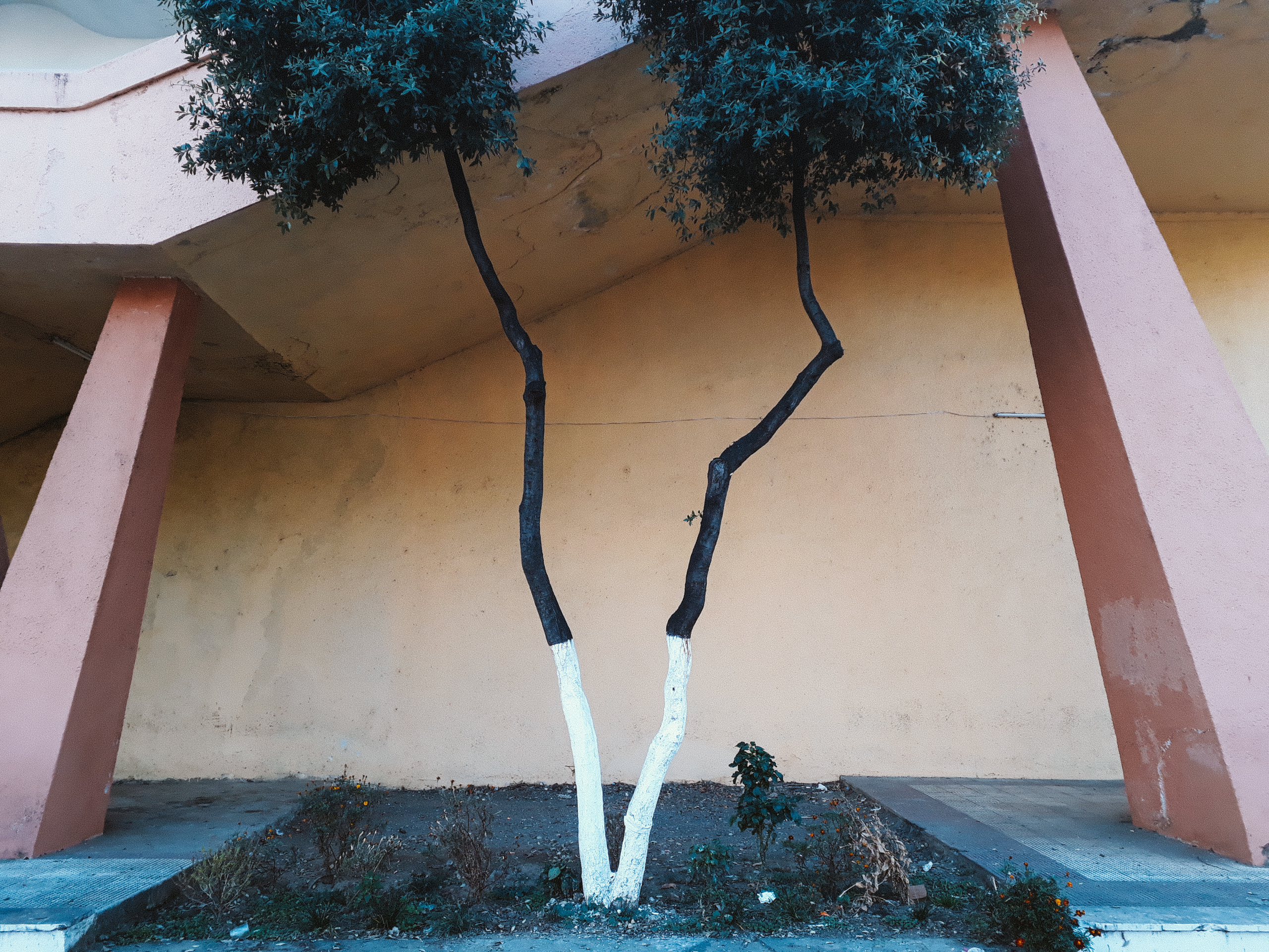 The Balkans. Künstler Verstecktoff