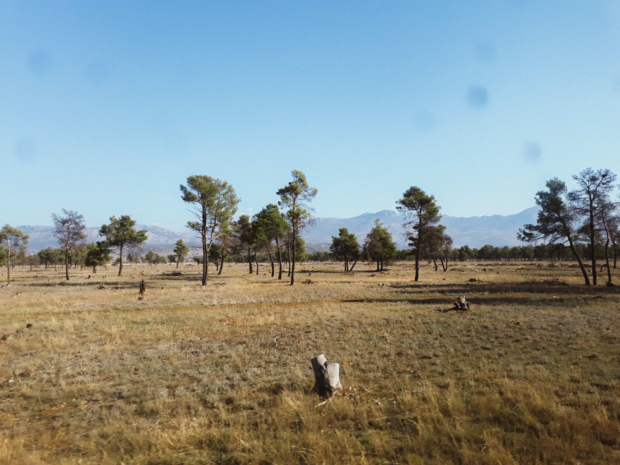 The Balkans. Künstler Verstecktoff