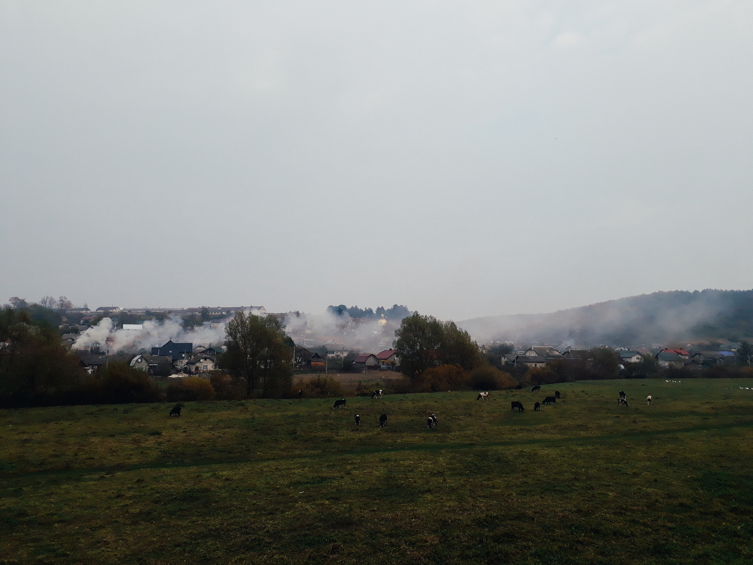 The Balkans. Künstler Verstecktoff