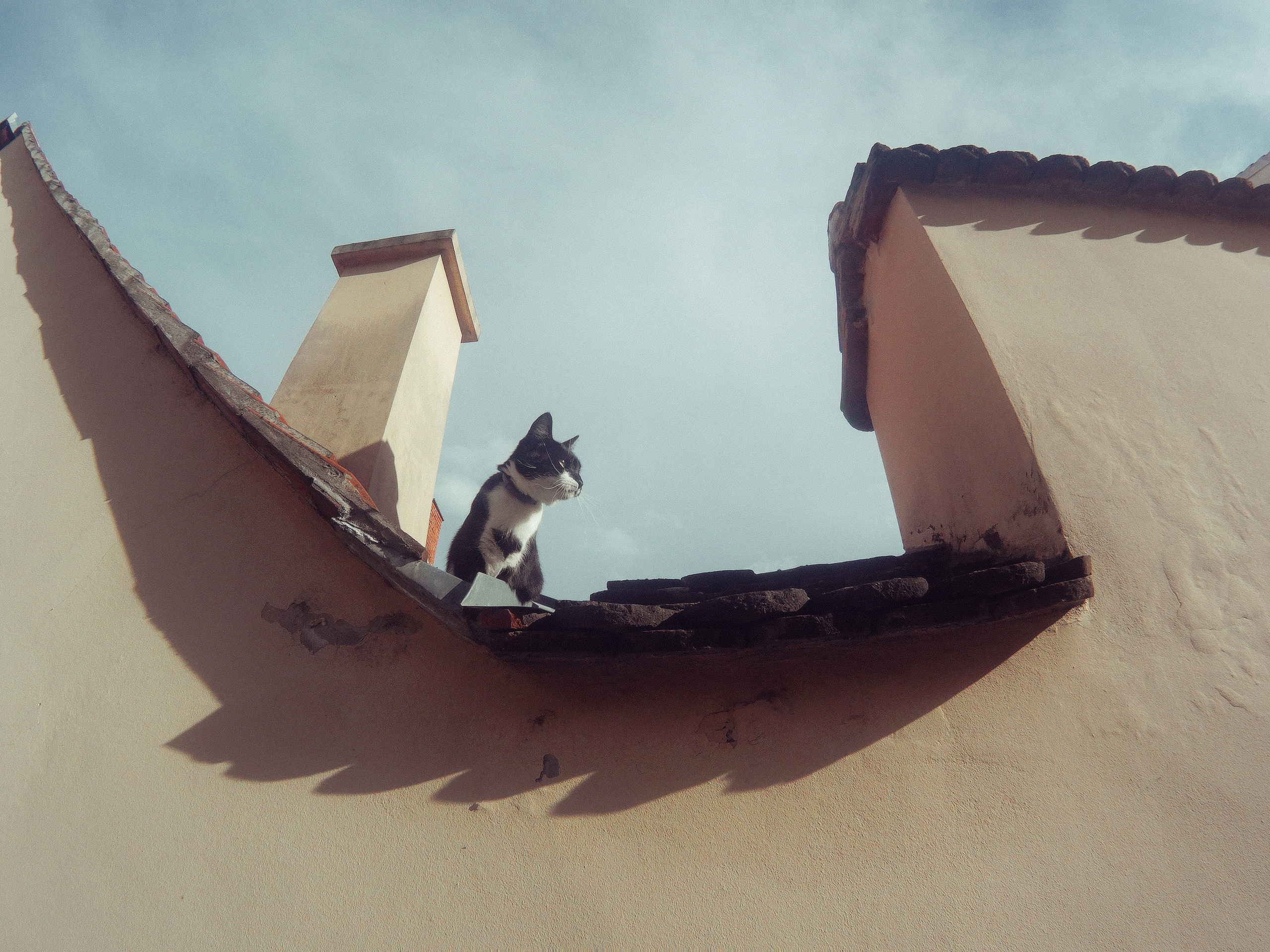 The Balkans. Künstler Verstecktoff