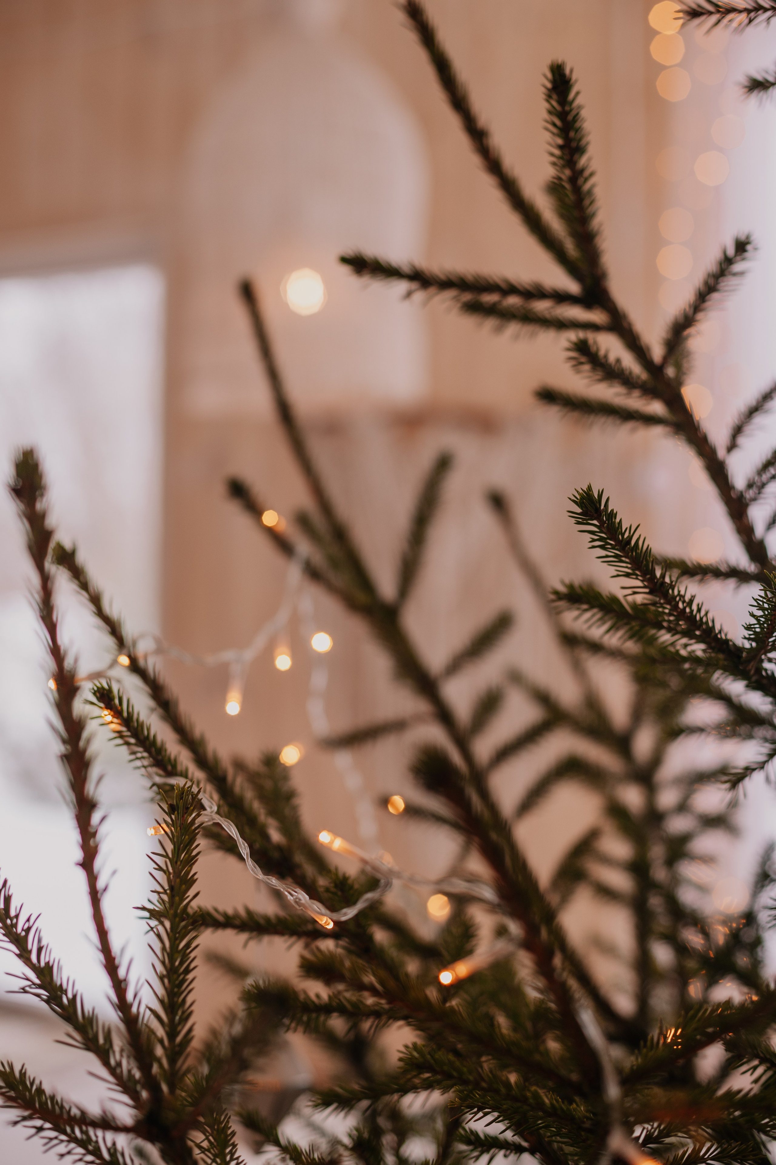 Семейный и свадебный фотограф Видное Москва Екатерина Пятова