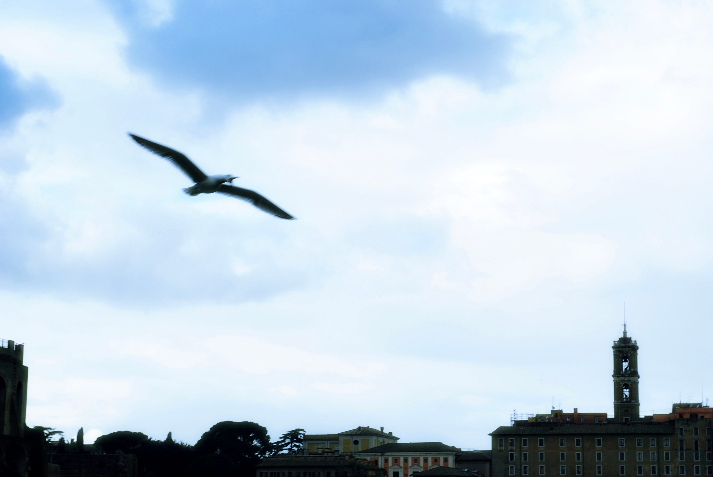 Италия стрит. Iraogo