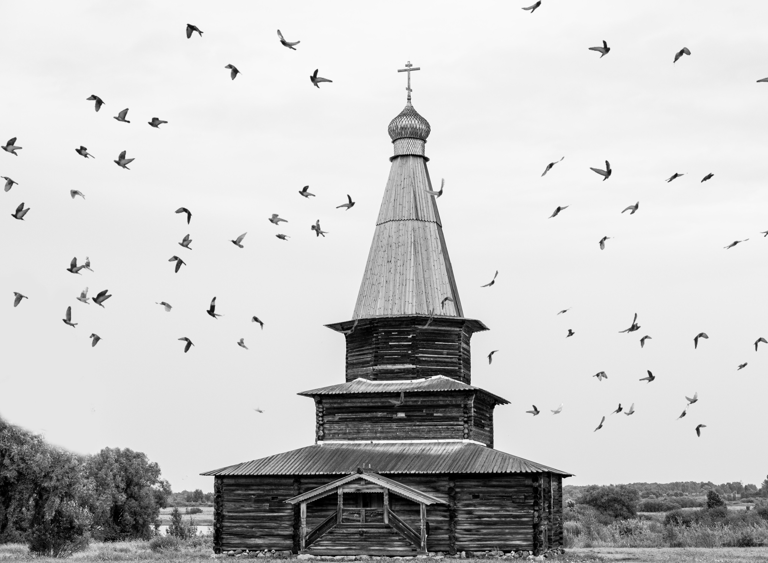 Пейзажи. Привет, я Лиза, я  занимаюсь портретной фотографией всех направлений в Санкт-Петербурге