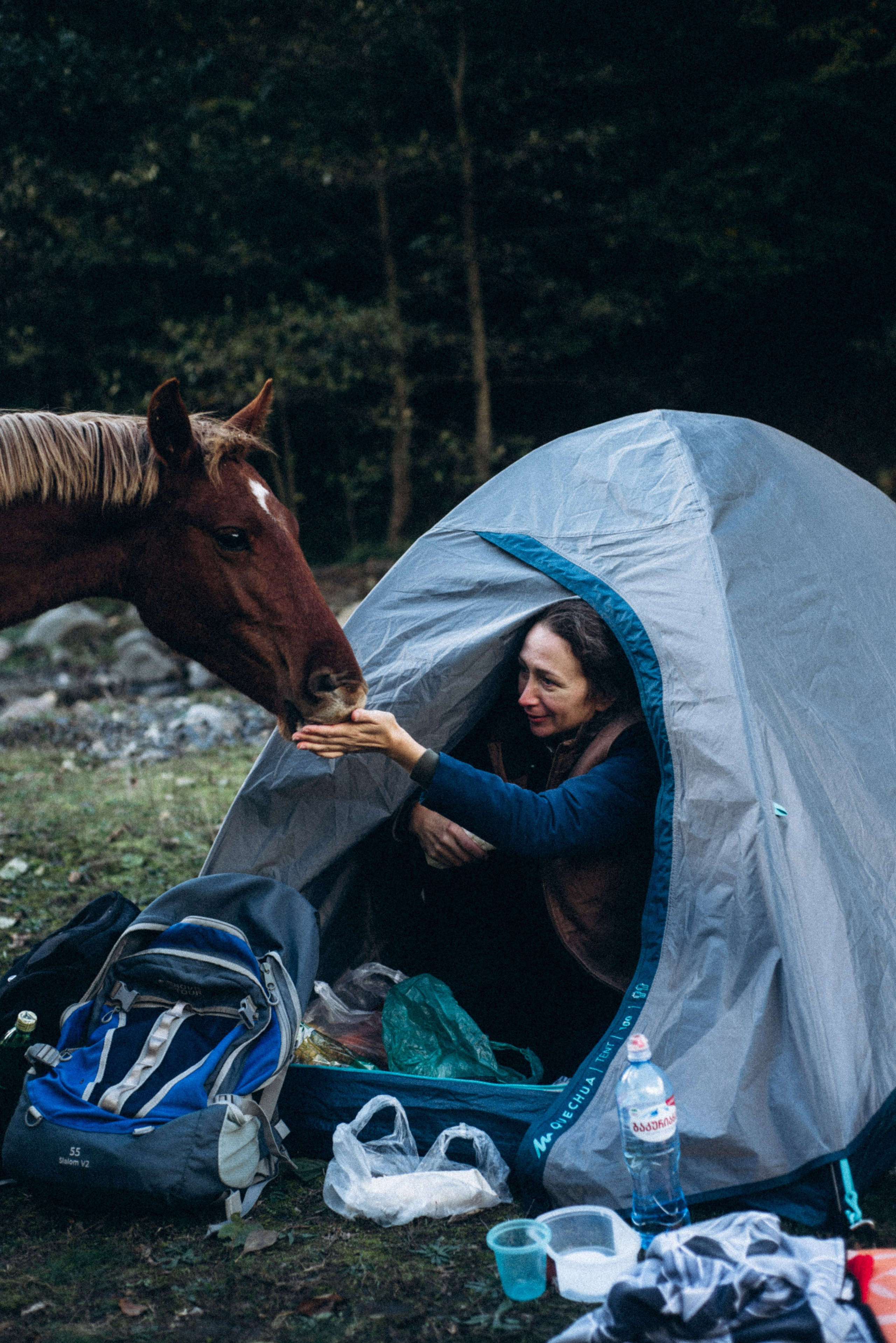 Конный поход 🇬🇪 «PVD Club». Anita_photo