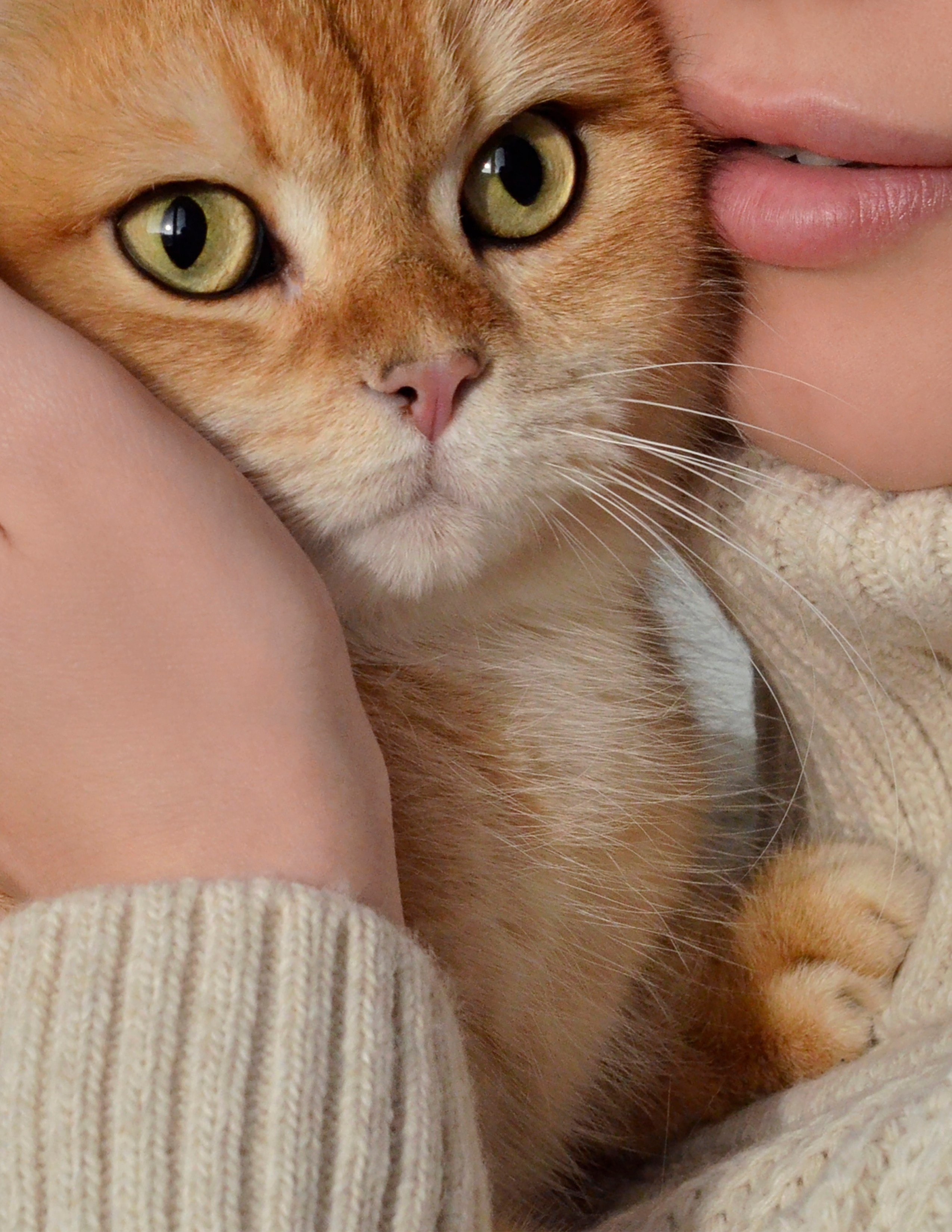 Не собаки и не лошади. Фотограф анималист