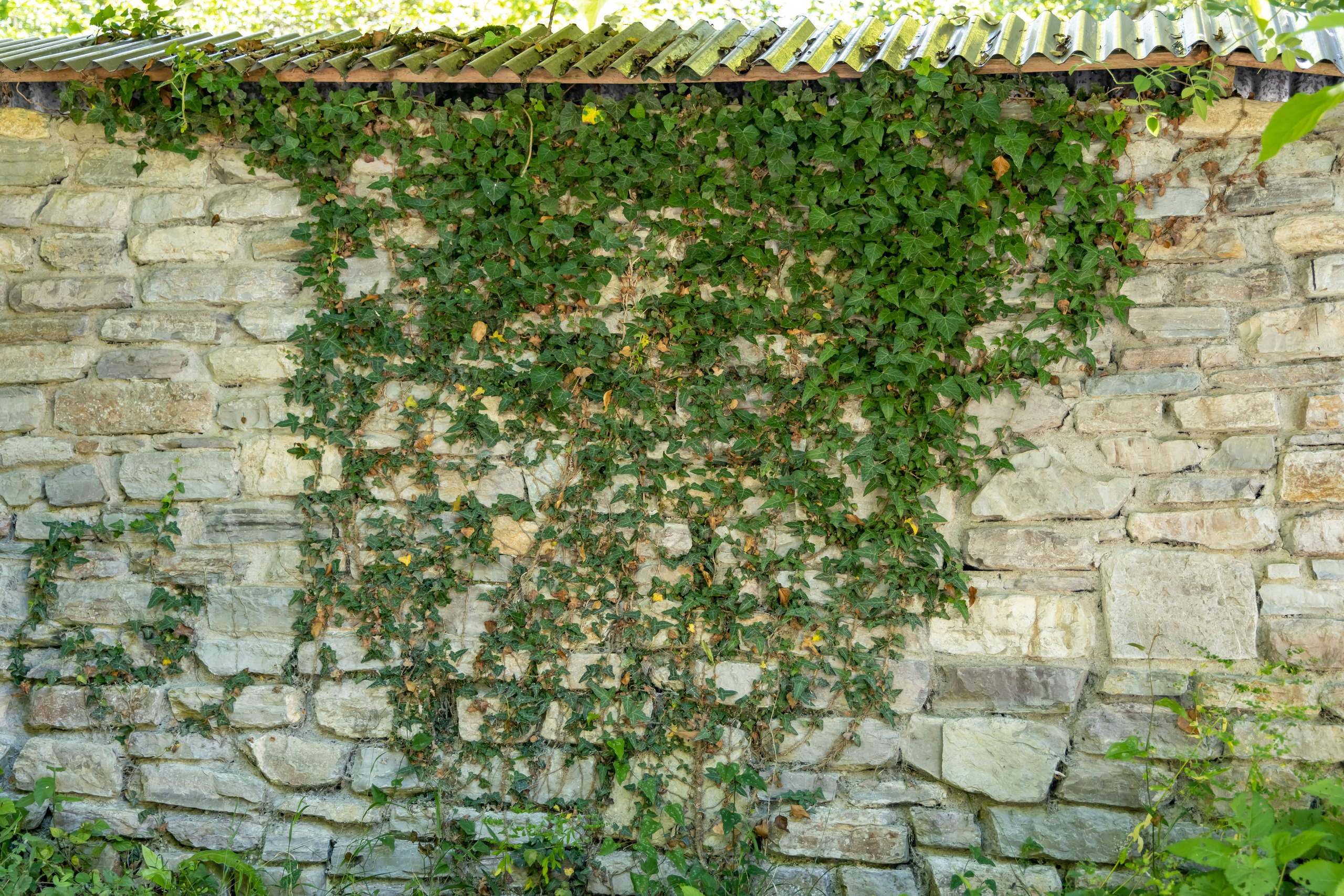 Сочи. Солох Аул. Репортажный, семейный и студийный фотограф в Москве Демин Алексей