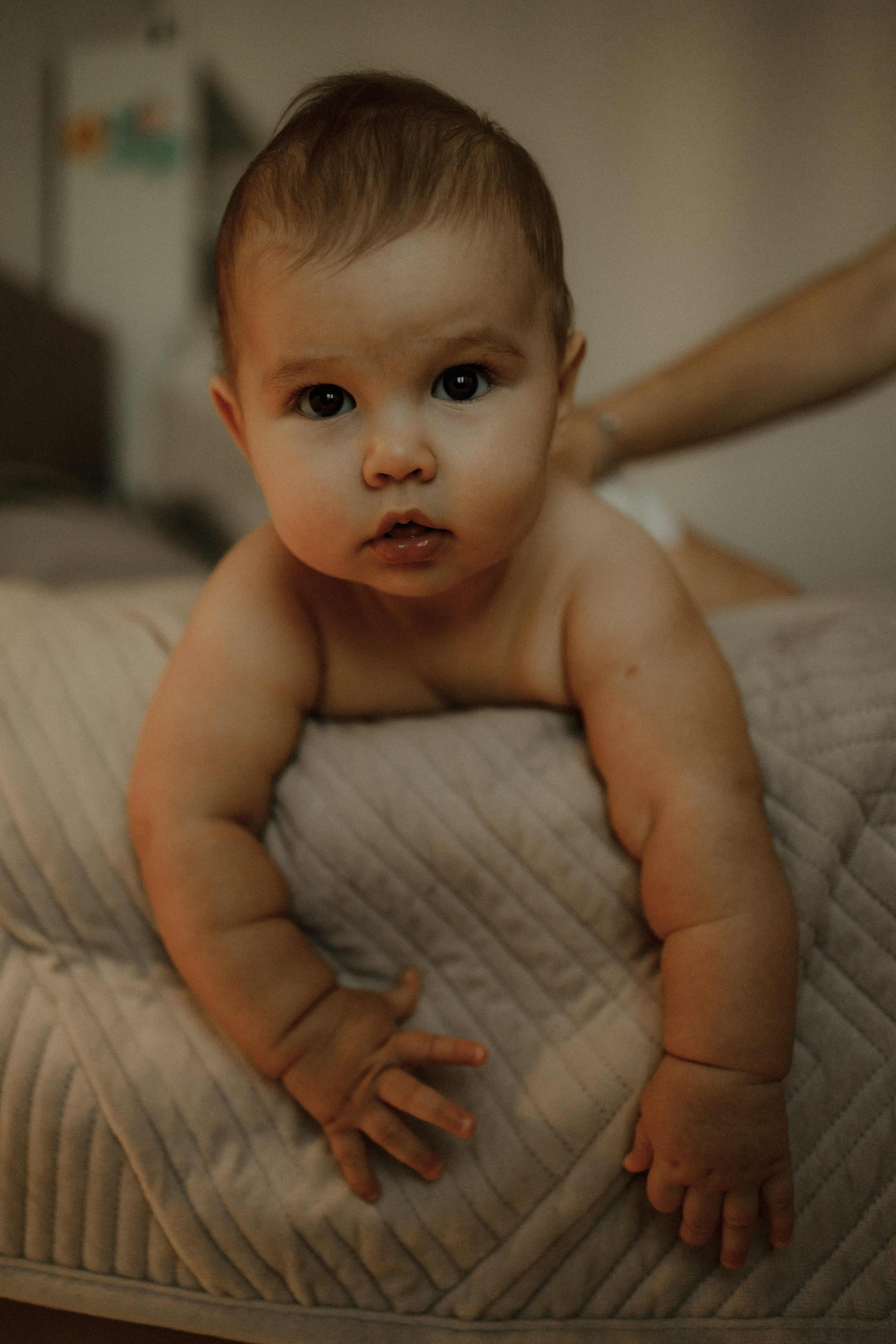 Римма и Ариана. Семейный фотограф, фотограф новорожденных в Москве, Анастасия Федяева