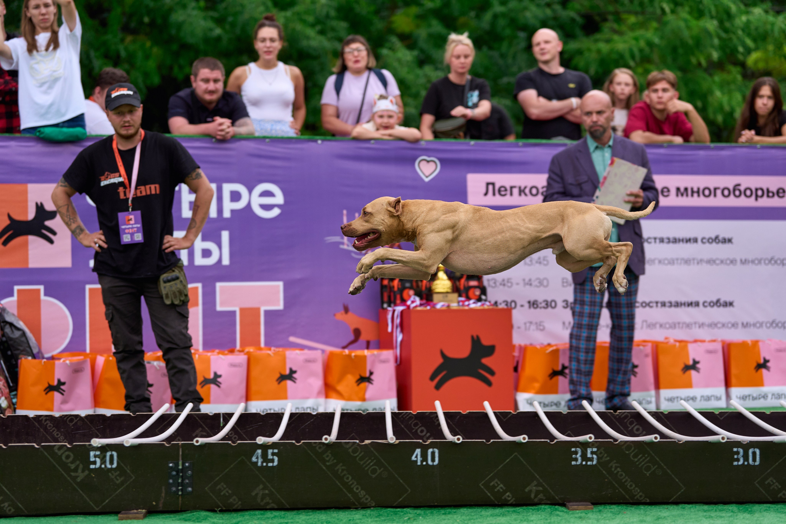 4 лапы Фест. Многоборье. Фотограф-анималист Михаил Манухин