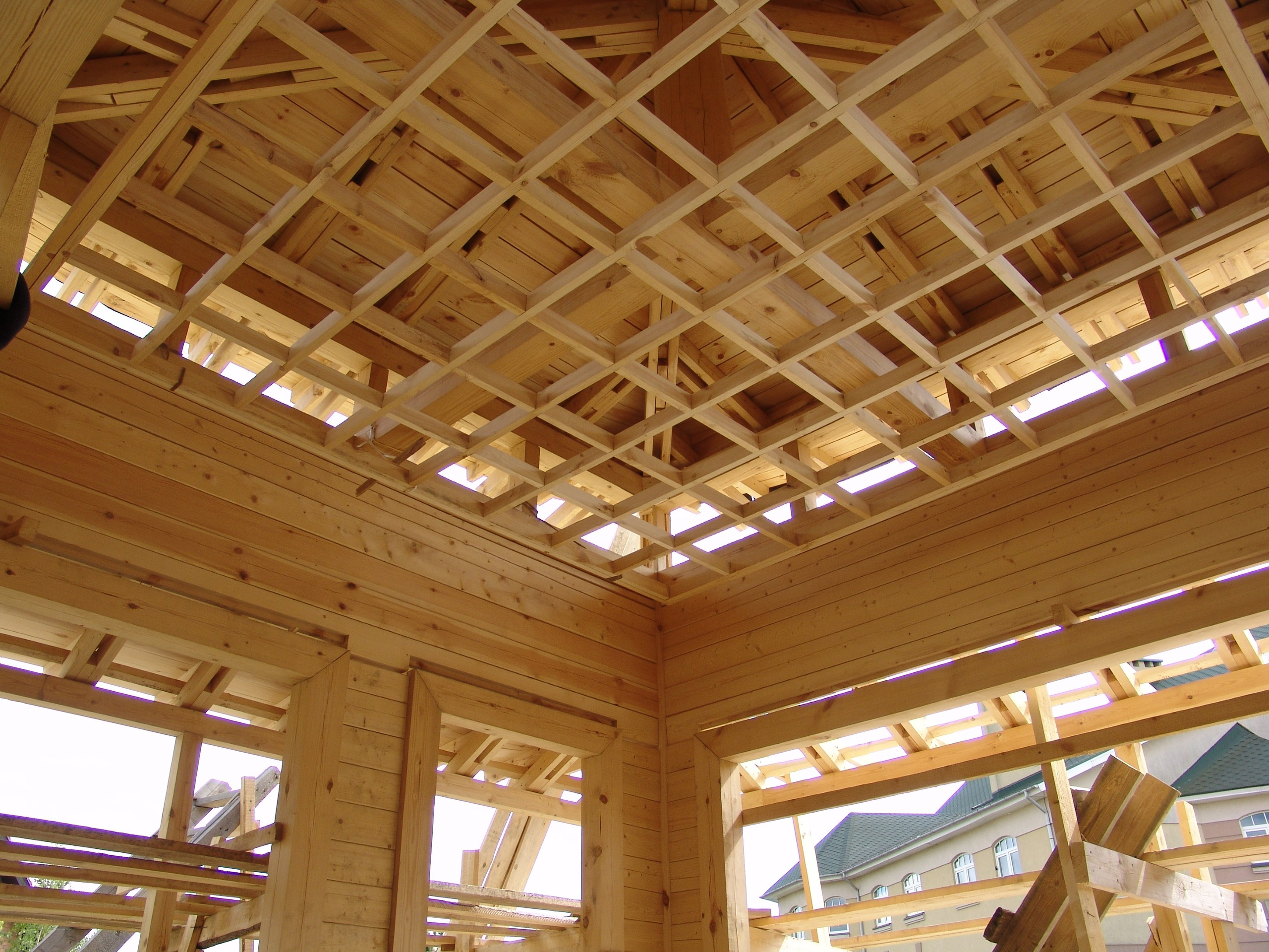 Антон Работнов