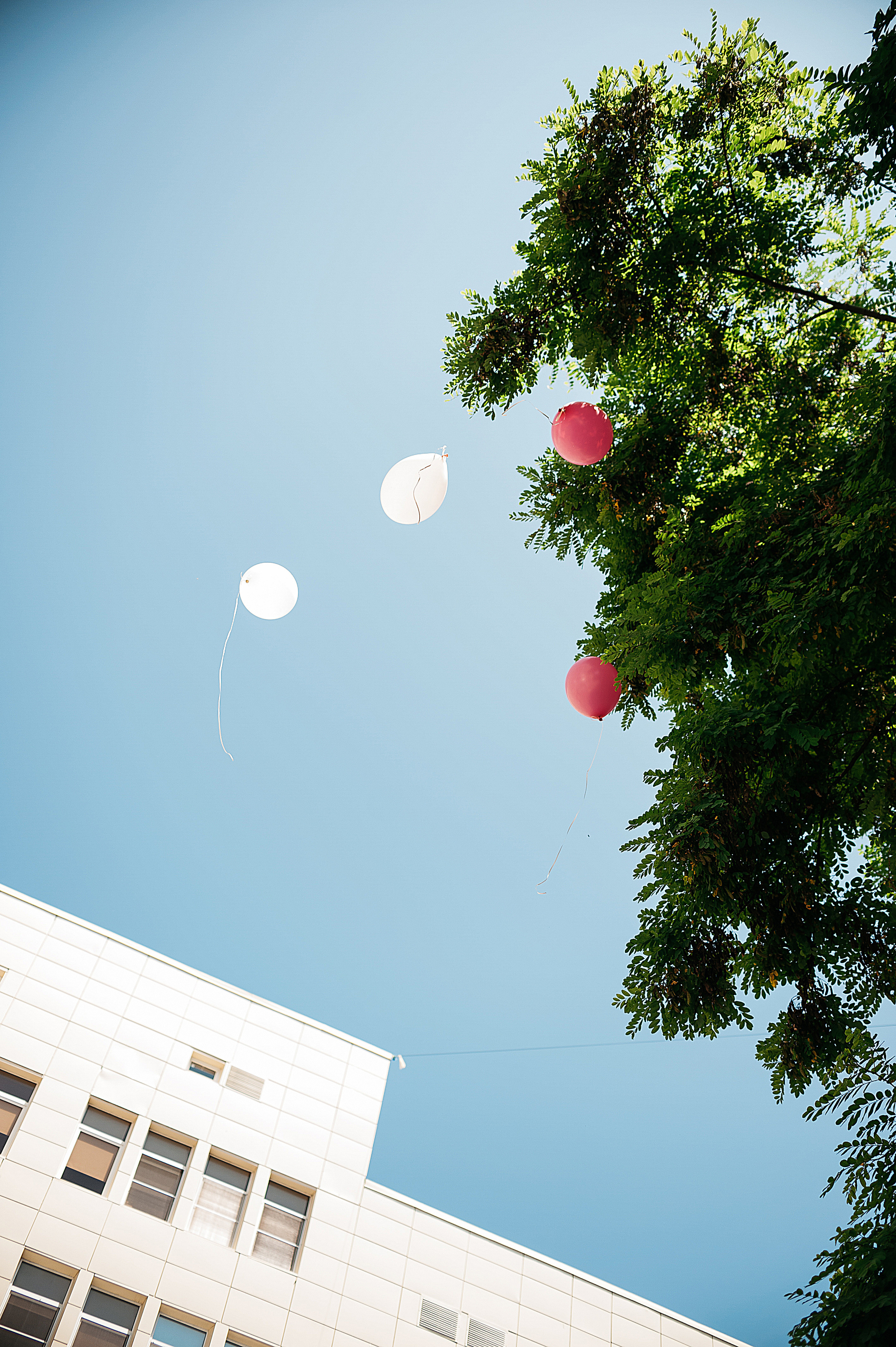 Выписка Адель. Свадебный и семейный фотограф в Ростове-на-Дону Алина Астахова