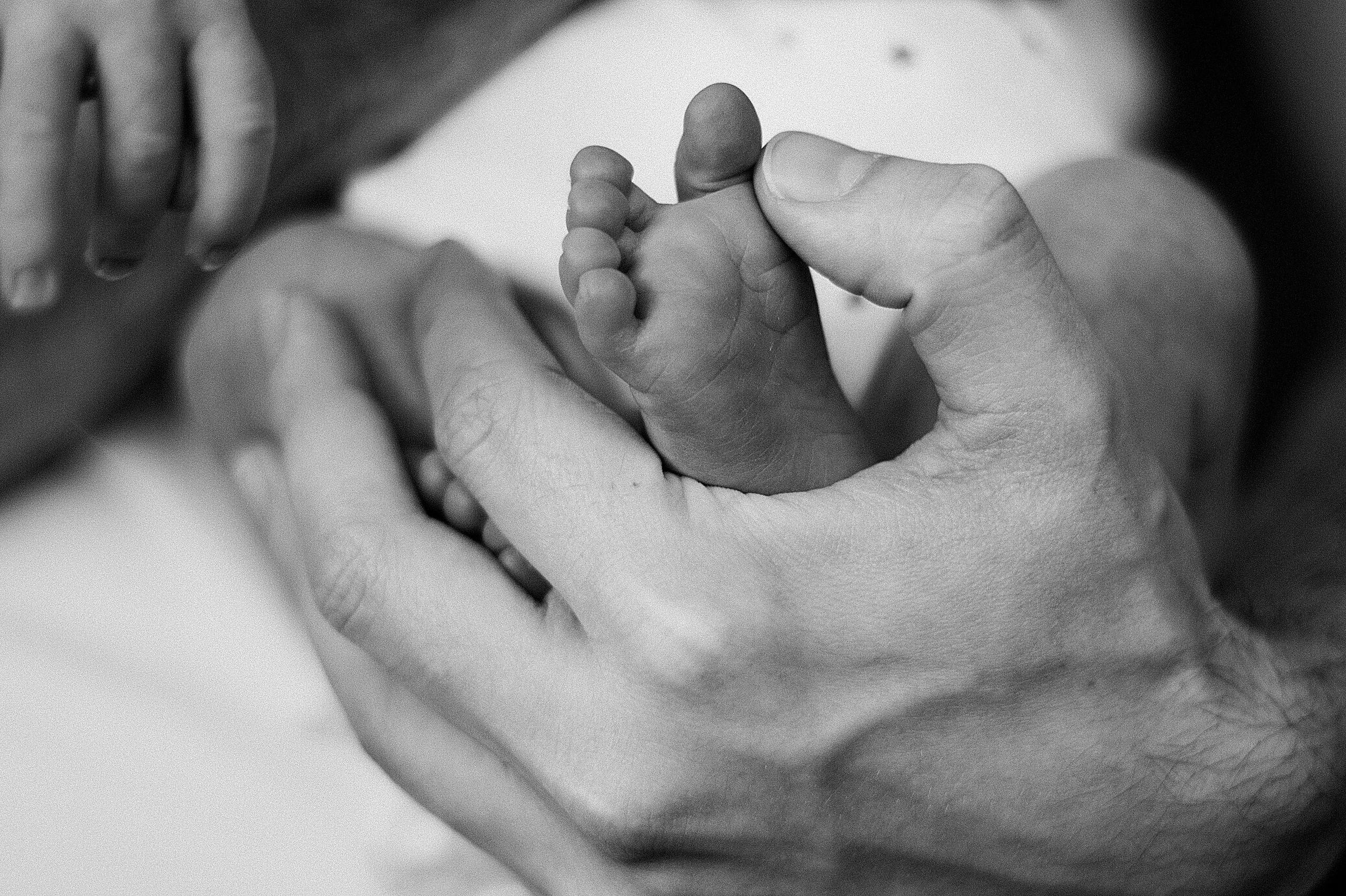 Илай, домашняя история. Свадебный и семейный фотограф в Ростове-на-Дону Алина Астахова