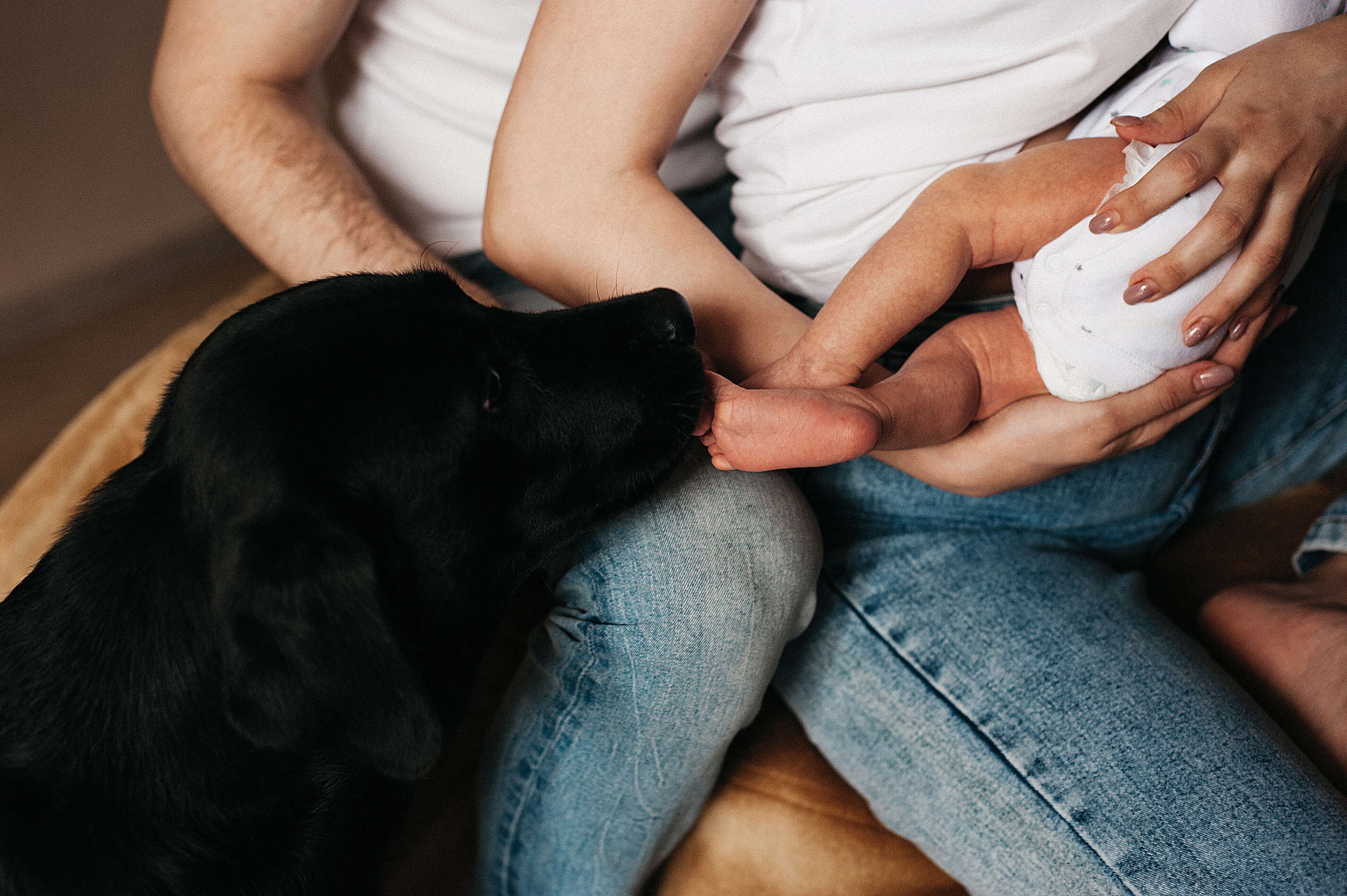 Илай, домашняя история. Свадебный и семейный фотограф в Ростове-на-Дону Алина Астахова