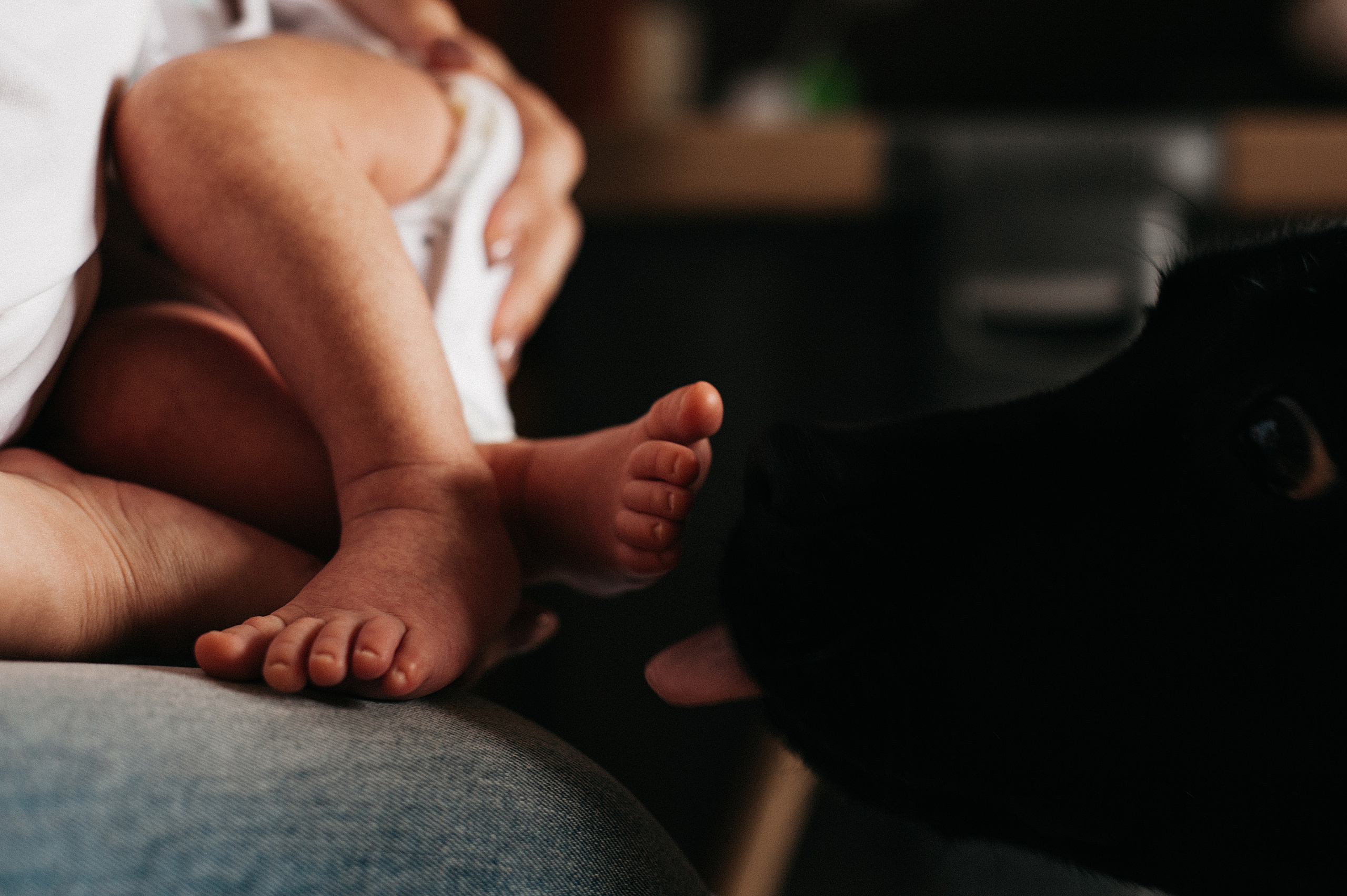 Илай, домашняя история. Свадебный и семейный фотограф в Ростове-на-Дону Алина Астахова