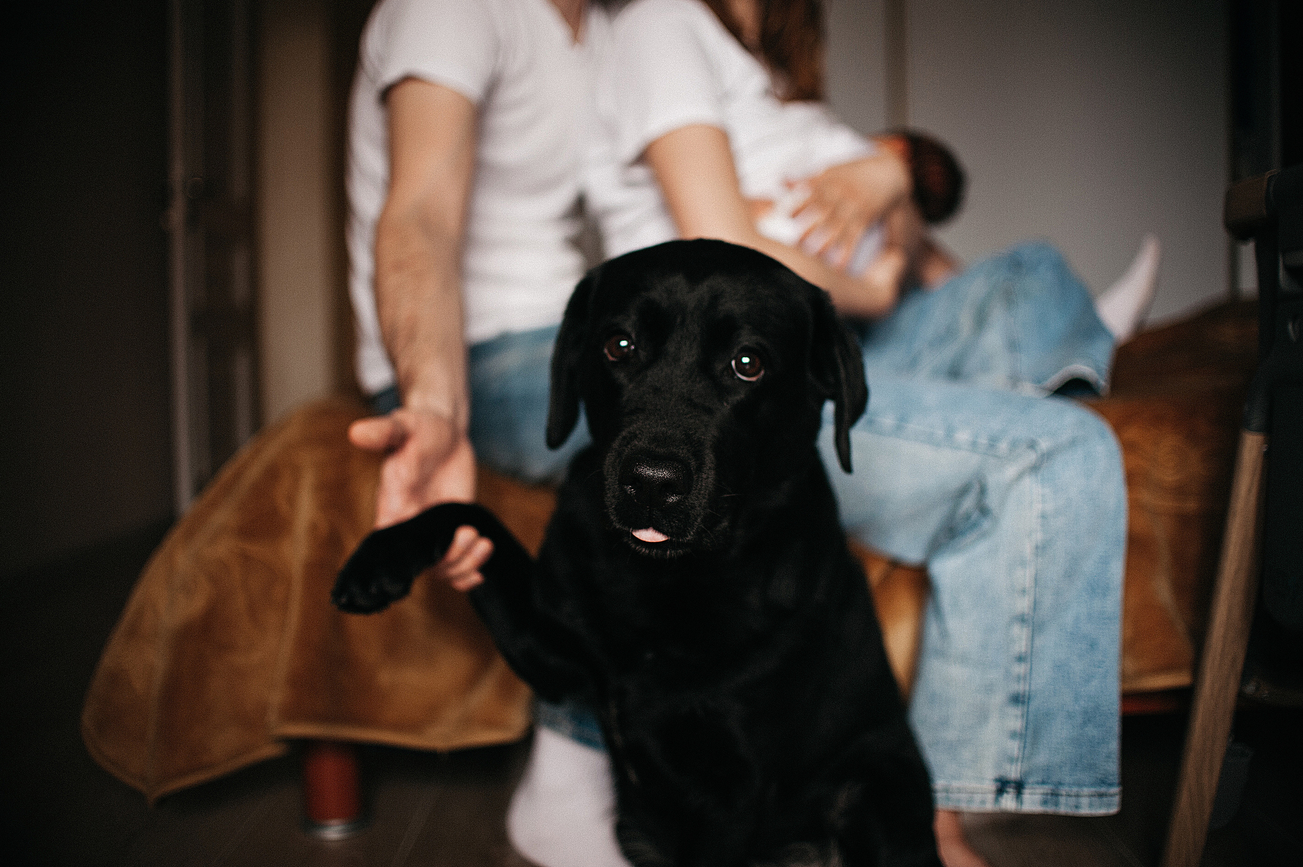 Илай, домашняя история. Свадебный и семейный фотограф в Ростове-на-Дону Алина Астахова