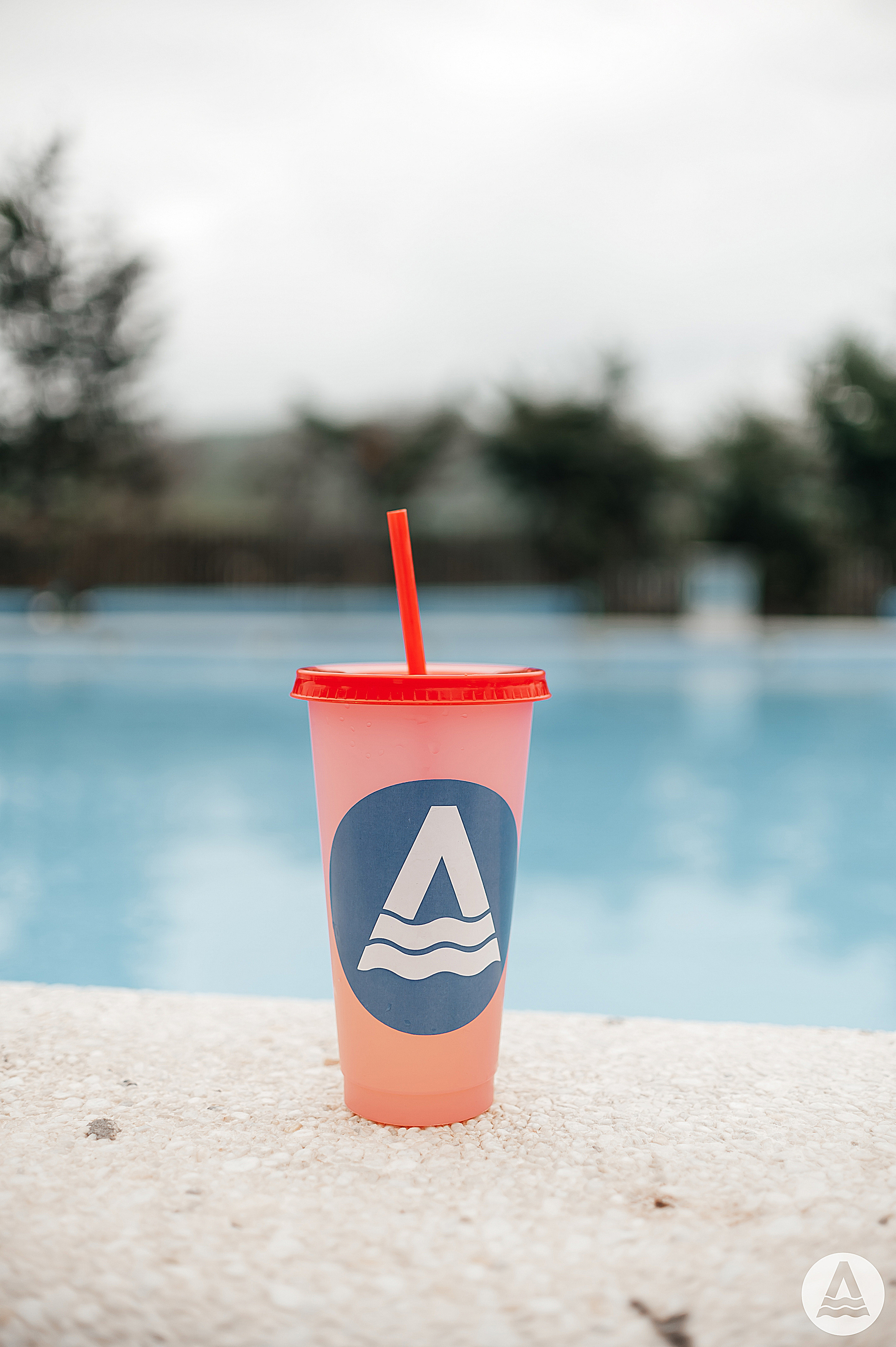 MyDаys 2023. Свадебный и семейный фотограф в Ростове-на-Дону Алина Астахова