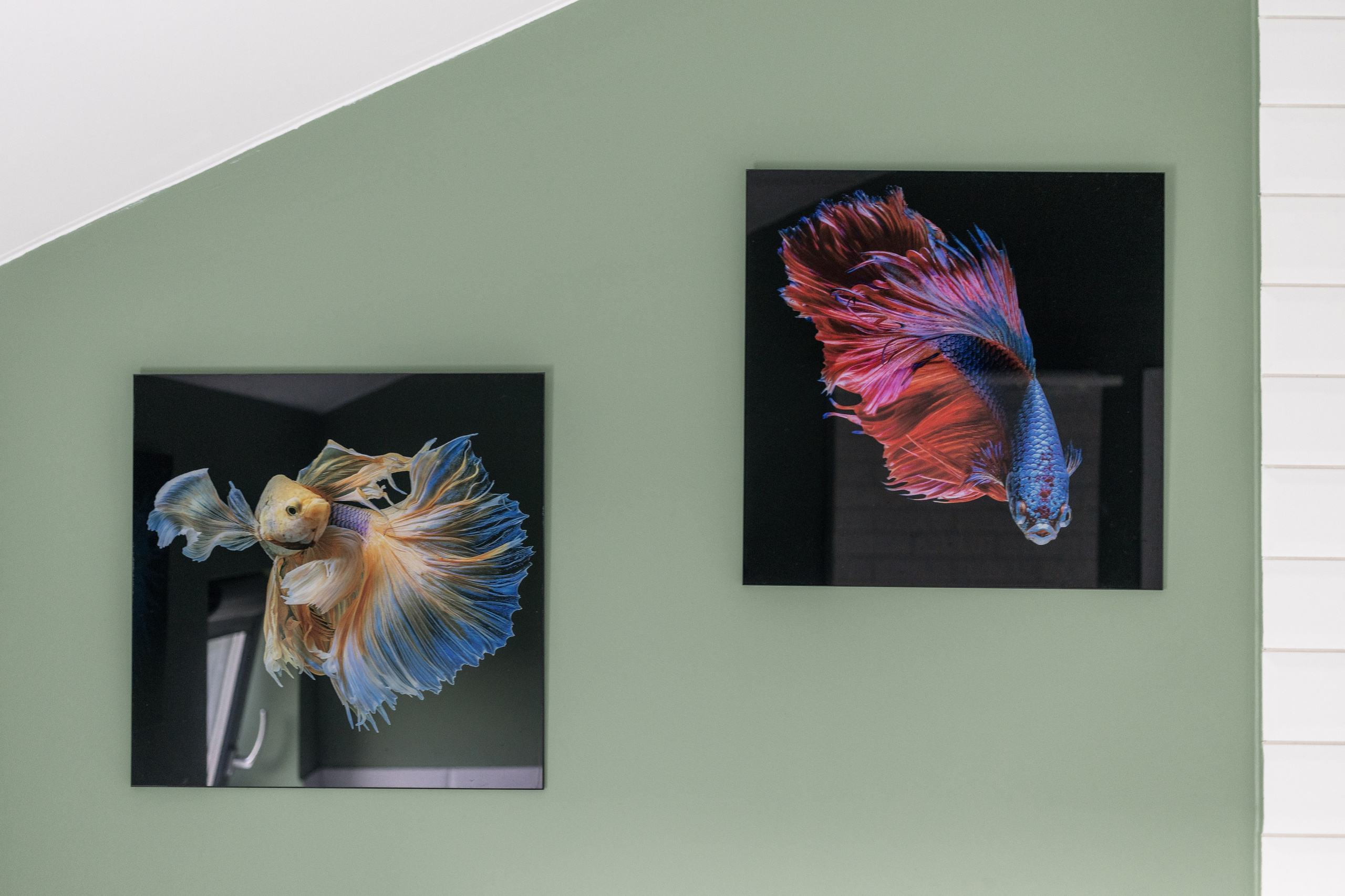 Дом. Репортажный фотограф Анастасия Головко