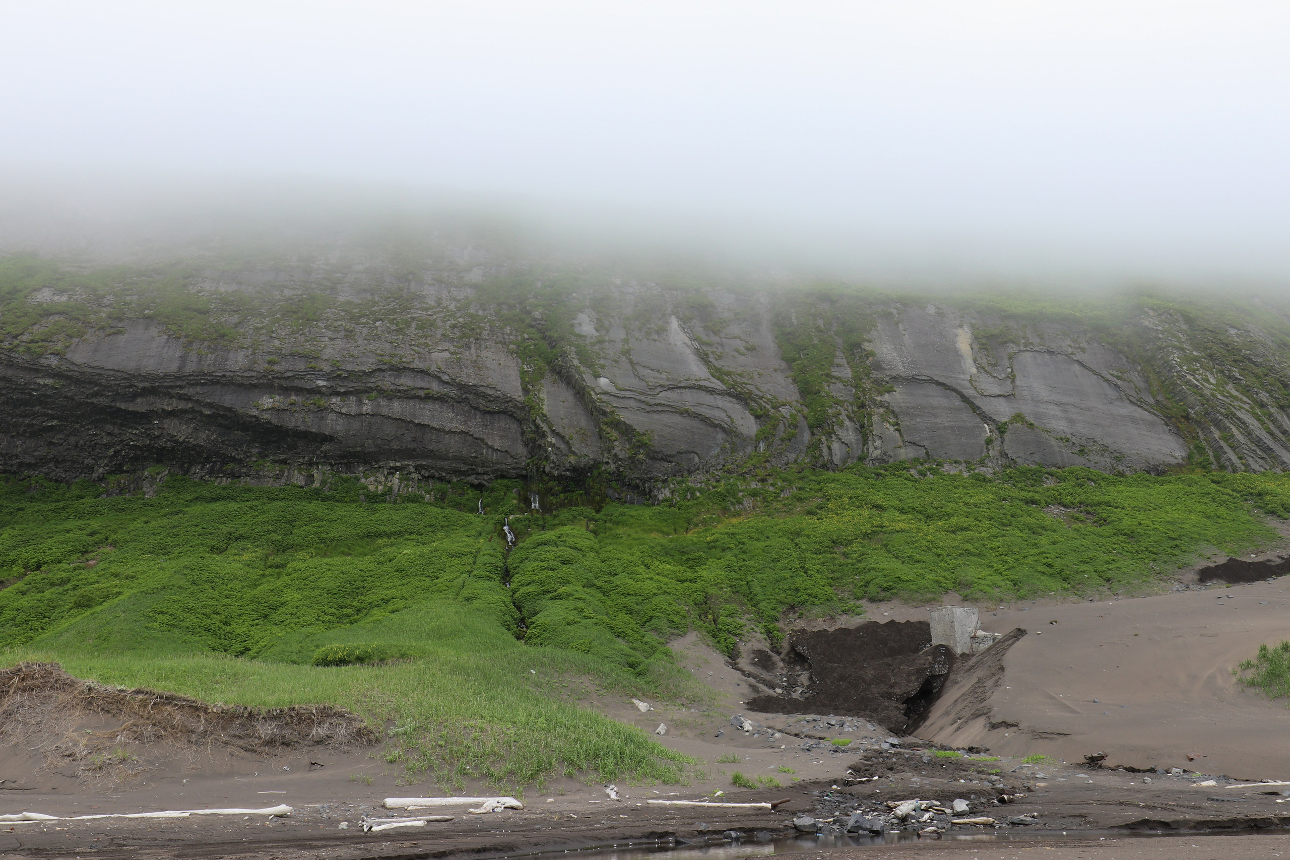 Камчатка и о. Парамушир. Июль 2024. Путешественник-фотограф из Санкт-Петербурга Татьяна Свистулина
