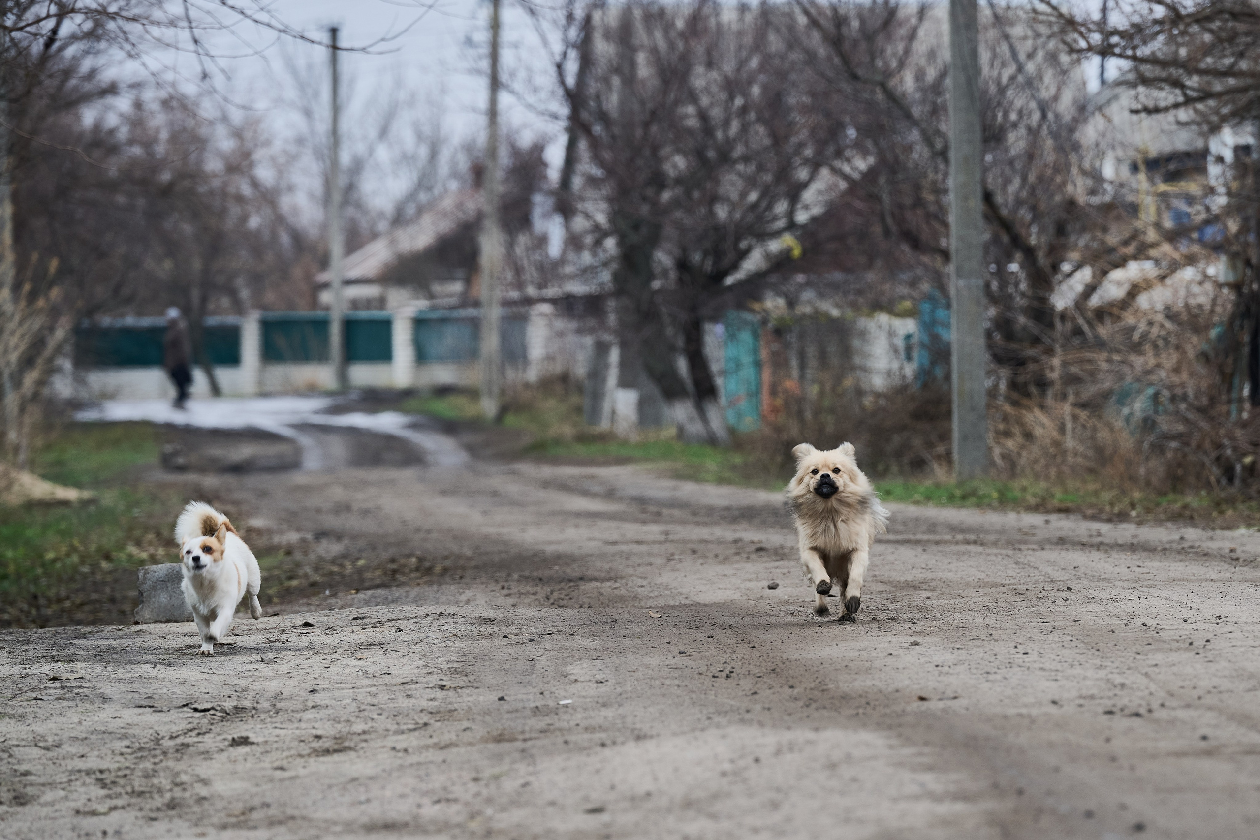 Краснореченское. Луганская область. Фотопроект «Территории»