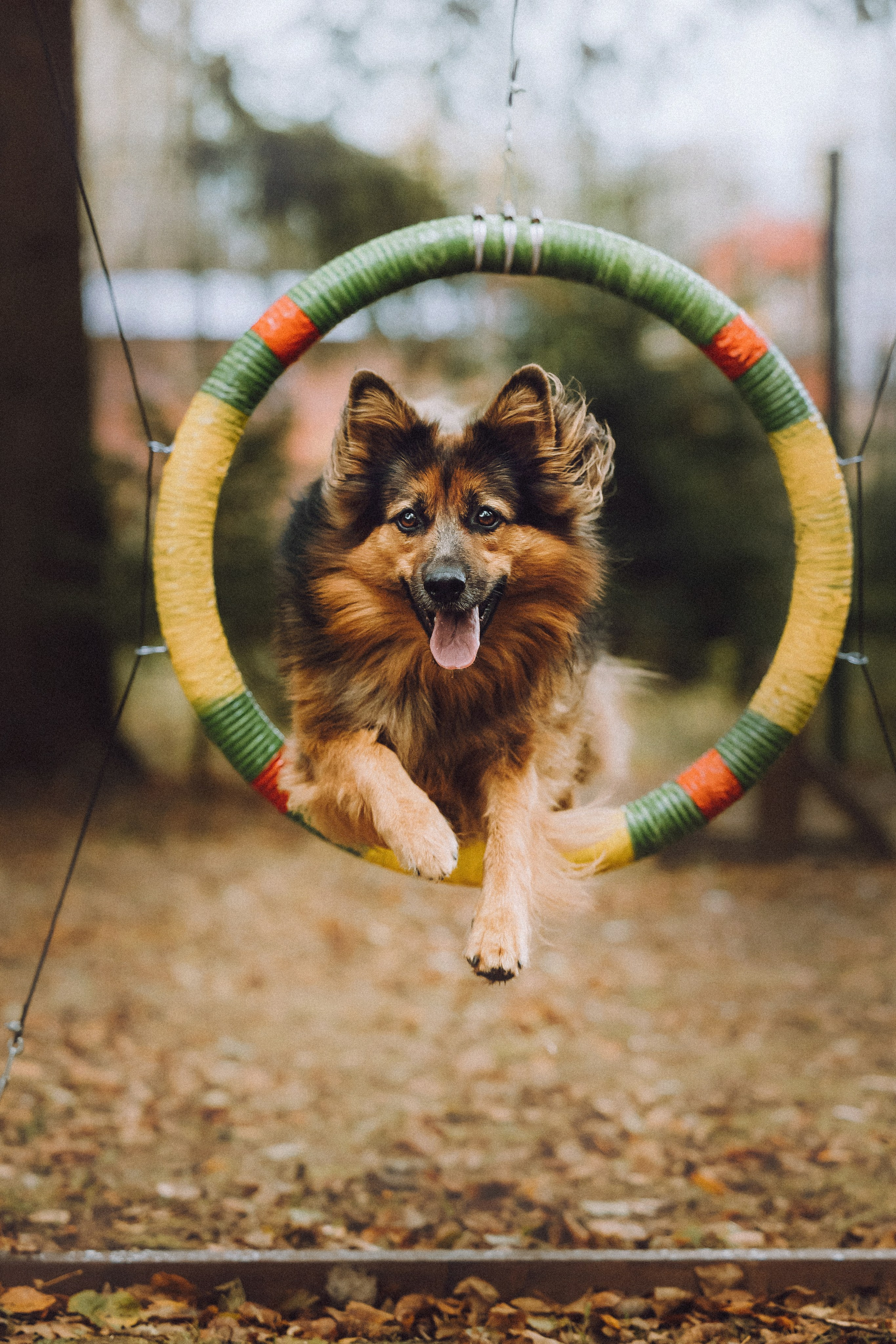 Хлоя, Герда и их семья